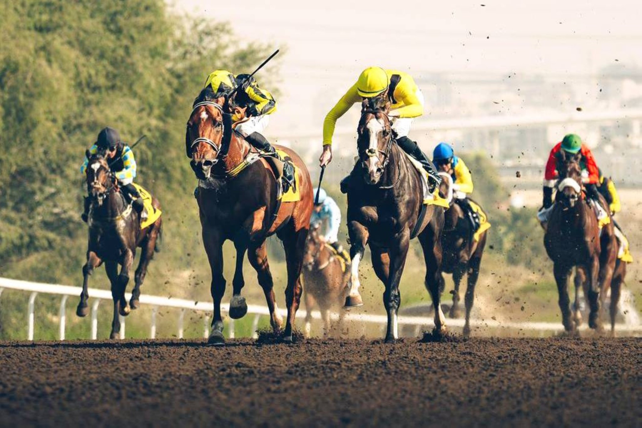 Al Wasl Club Cup, Daaeemm Incentive Stakes headline Jebel Ali Racecourse&rsquo;s sixth meeting