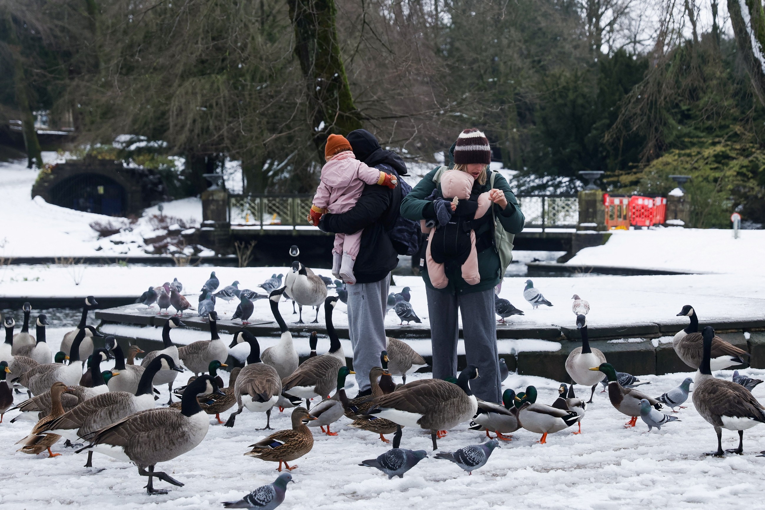 Snowstorms spark travel mayhem, power cuts in northern Europe