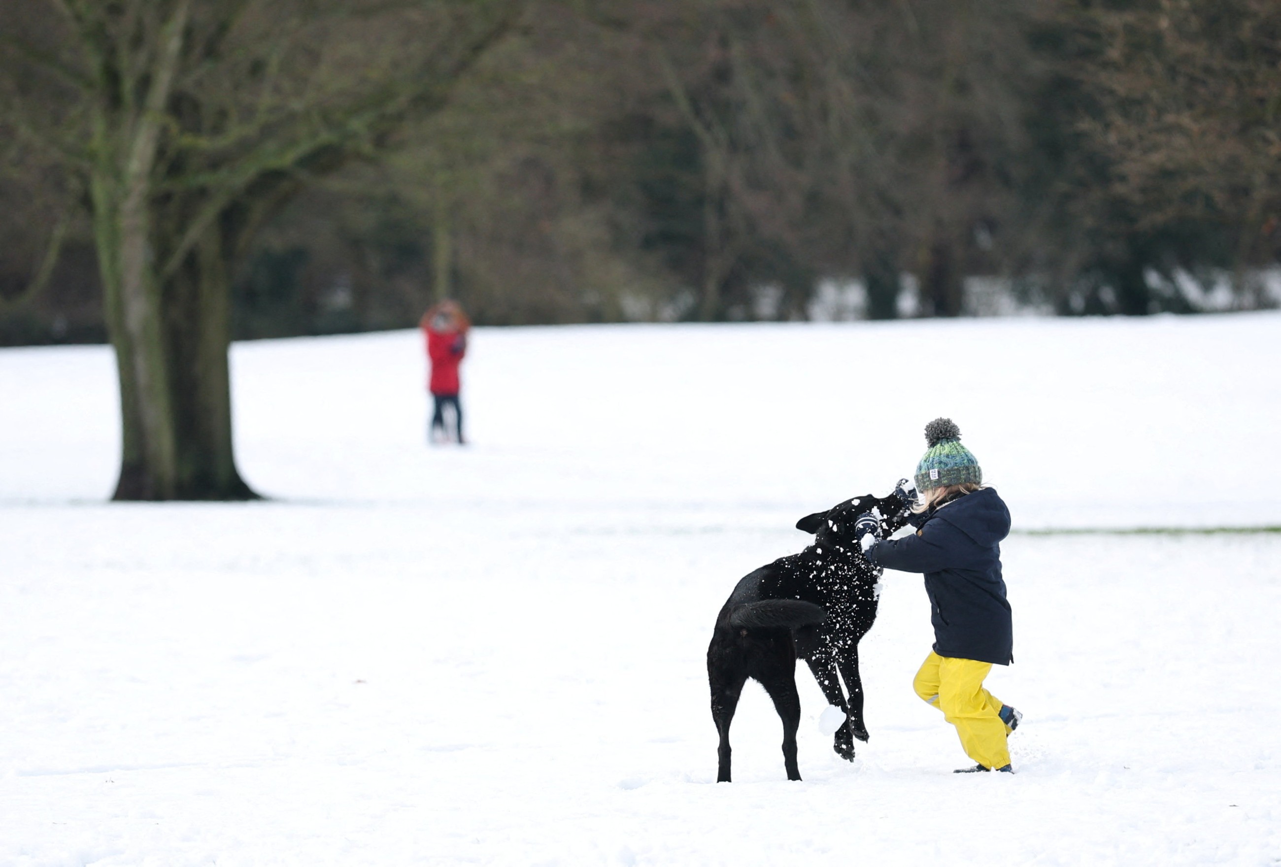 Snowstorms spark travel mayhem, power cuts in northern Europe