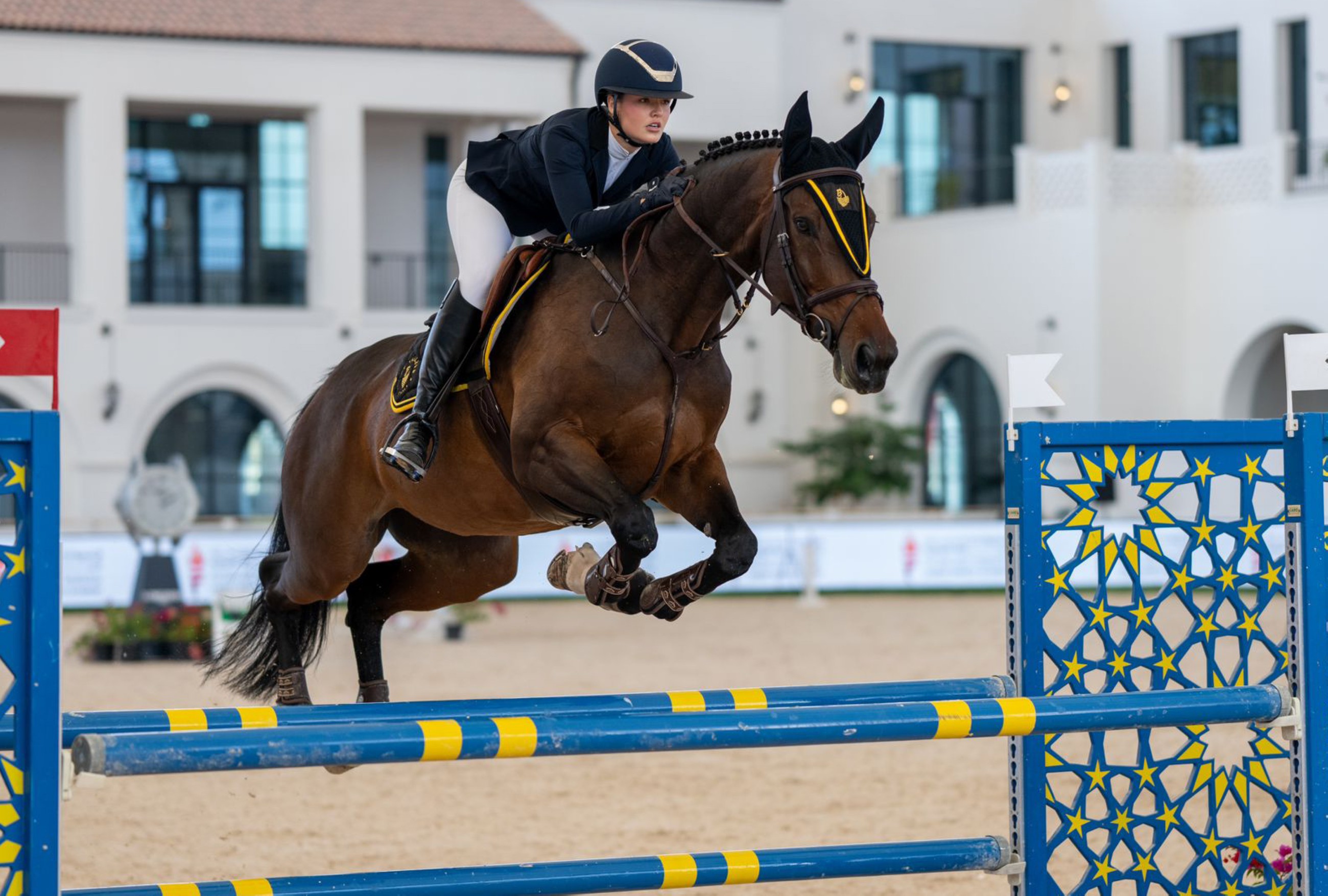 13th edition of FBMA International Show Jumping Cup to take place in Abu Dhabi