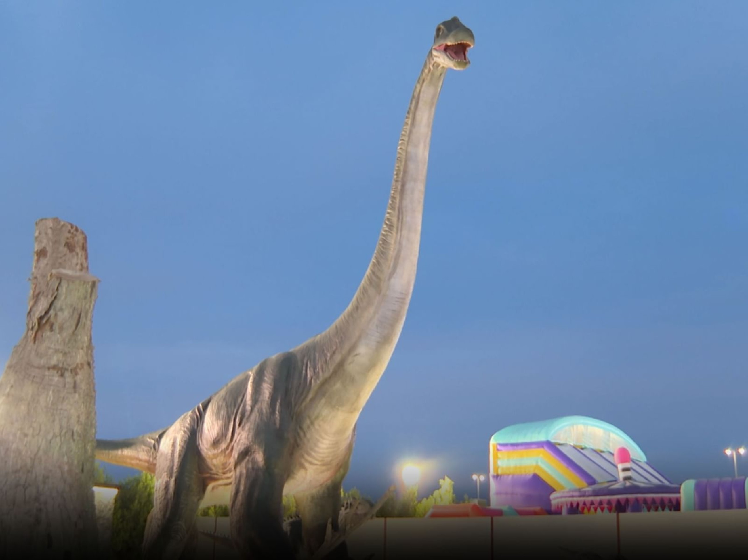 Festival hosts ‘Rare Species Reserve’