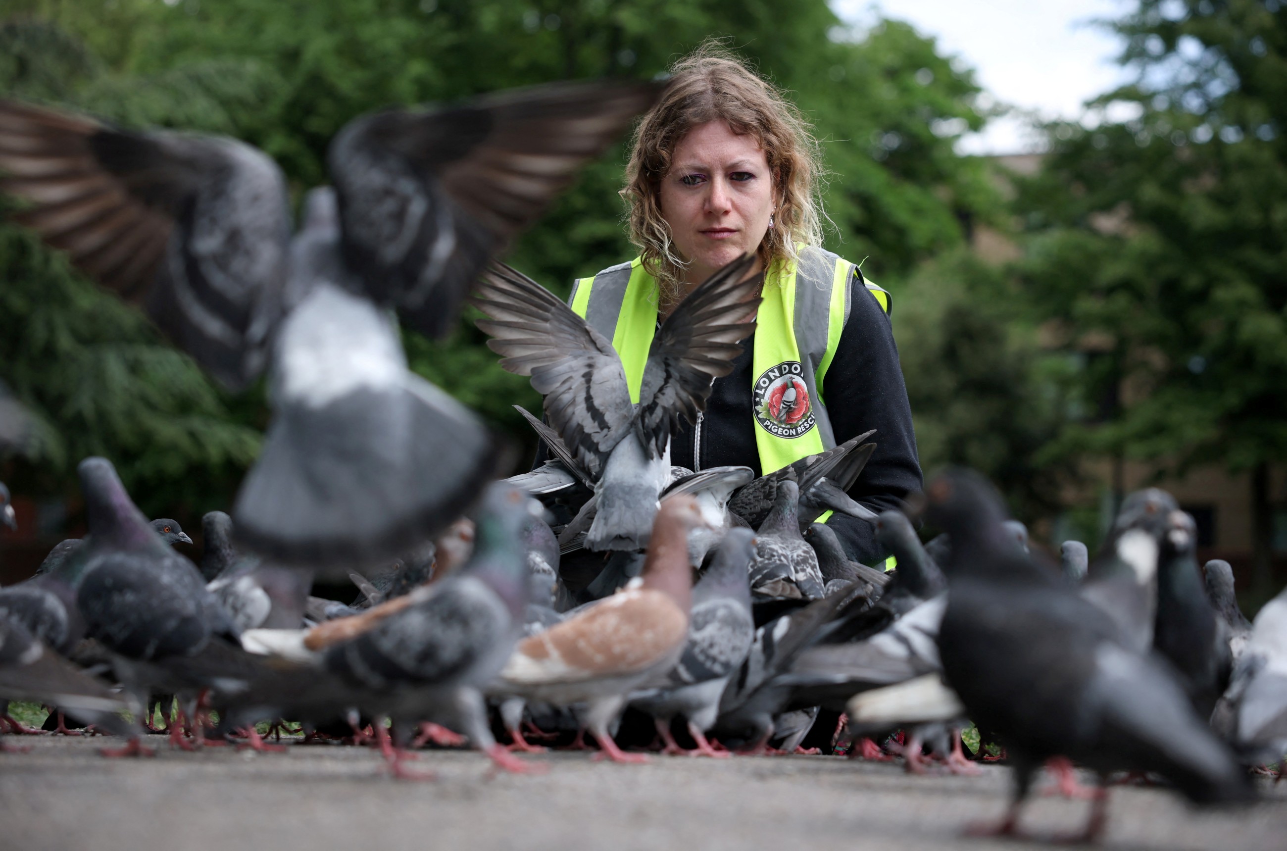 6 British police officers arrest, handcuff woman feeding pigeons in London