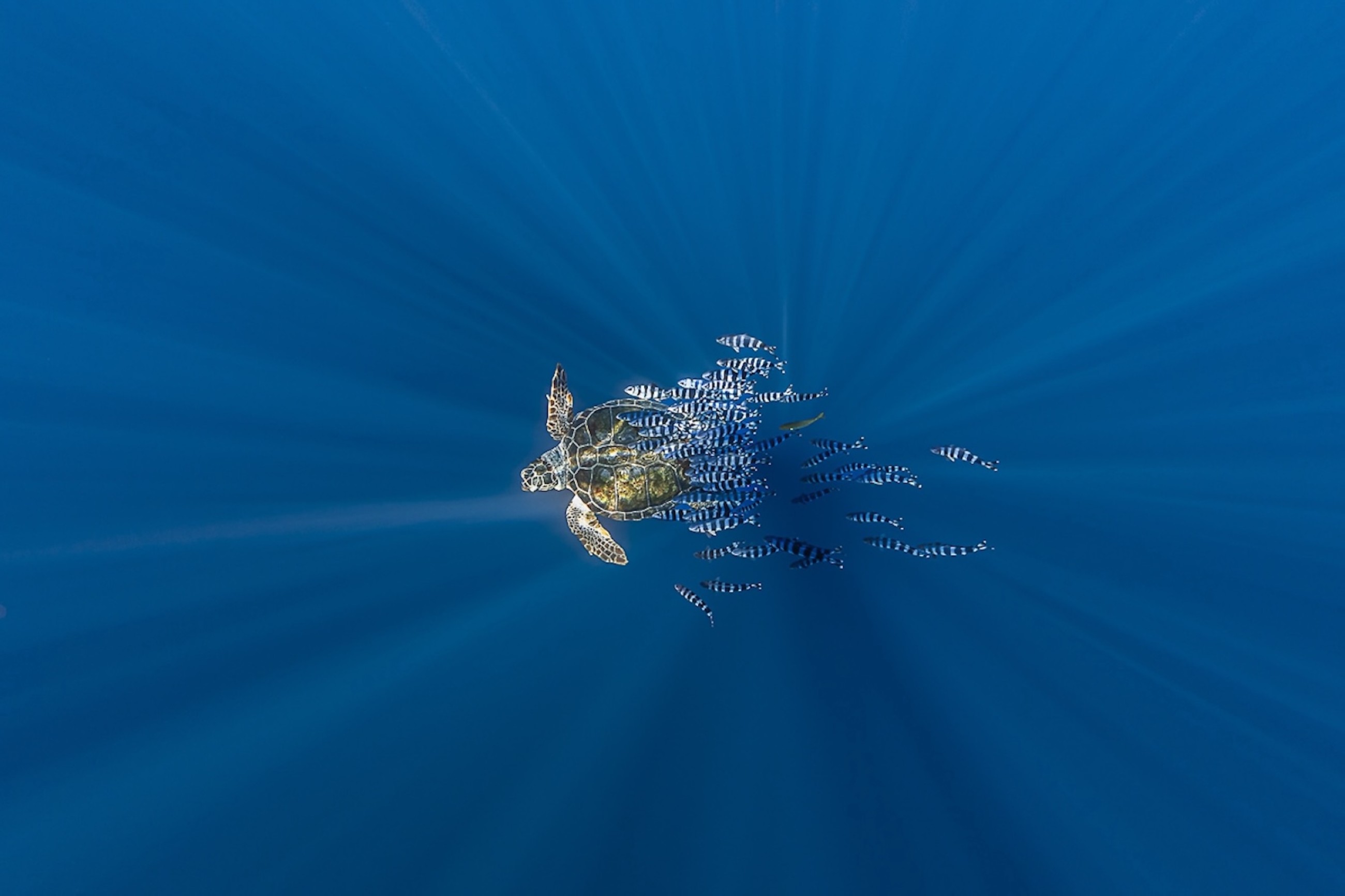 5 exhibitions reflect what Xposure really represents