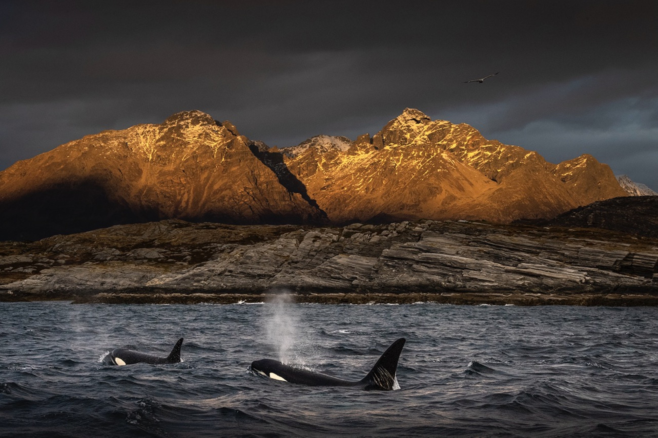 Xposure 2026 announces Conservation Summit on 2 February