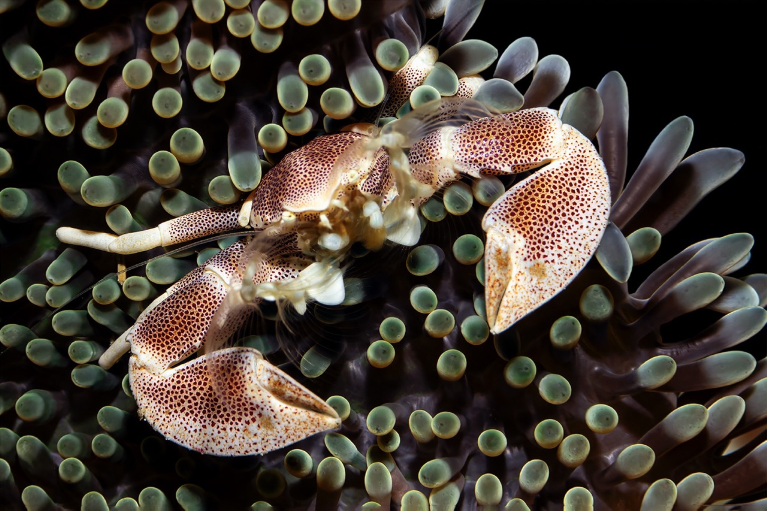 Xposure 2026 announces Conservation Summit on 2 February