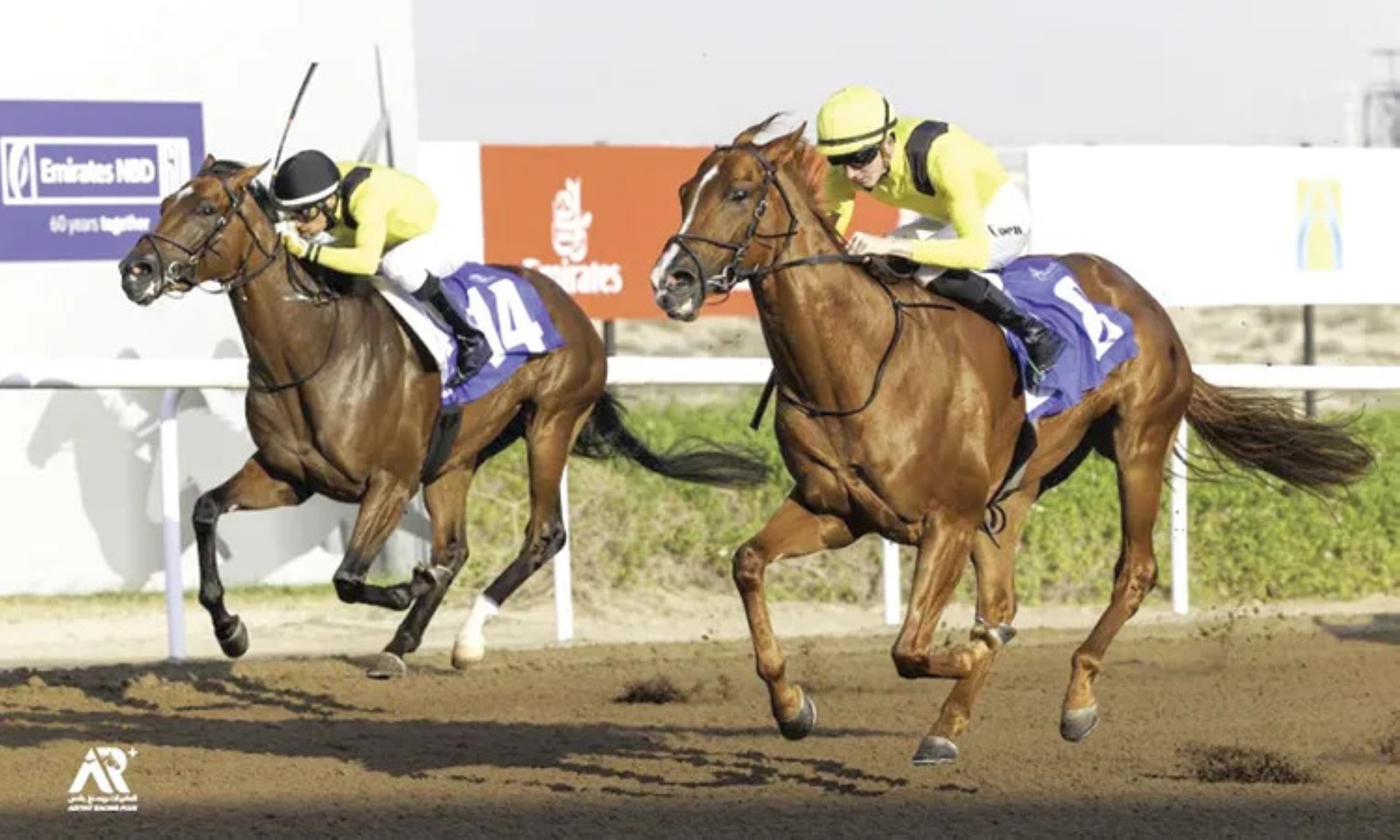 Jebel Ali set for exciting Mile Prep Stakes showdown