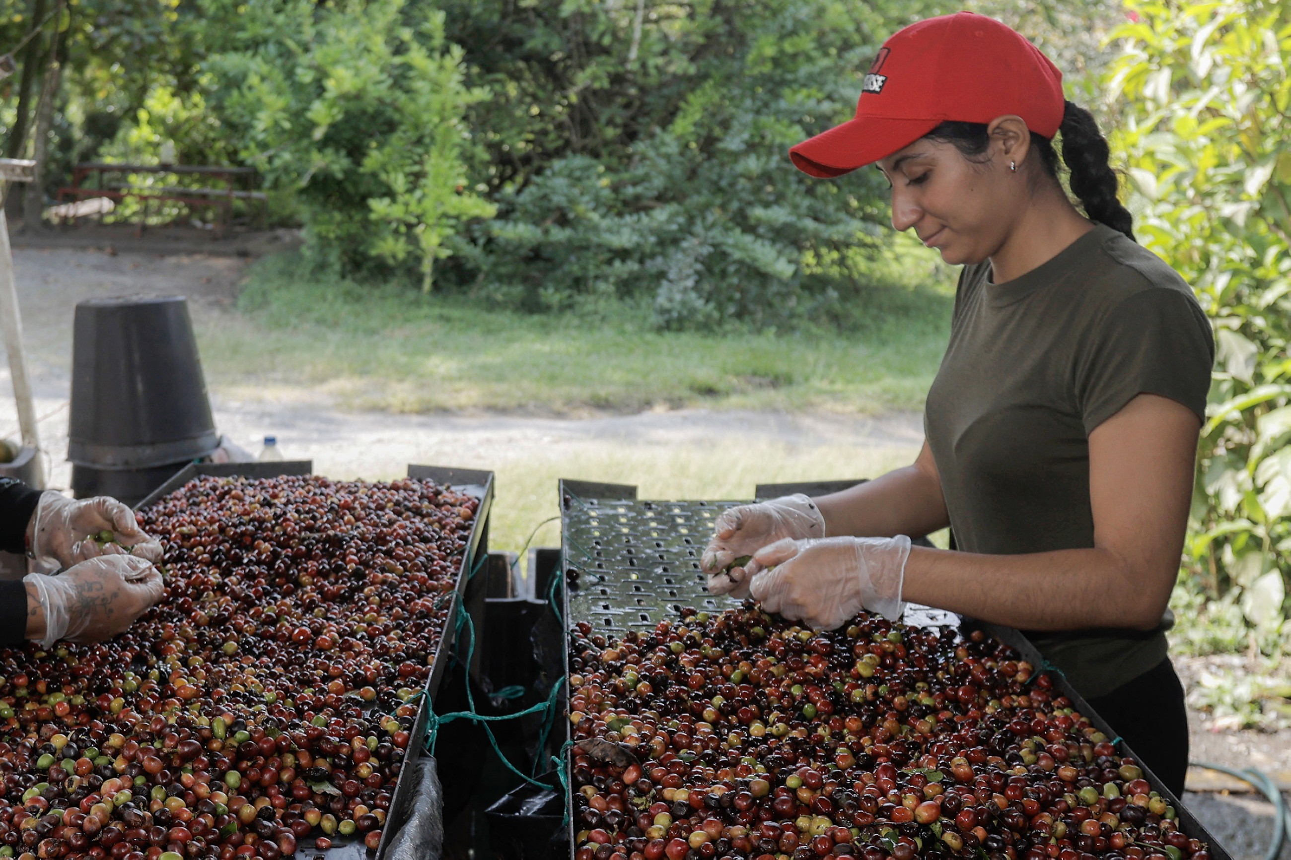 Choosing iced coffee over hot could reduce your exposure to microplastics, study shows