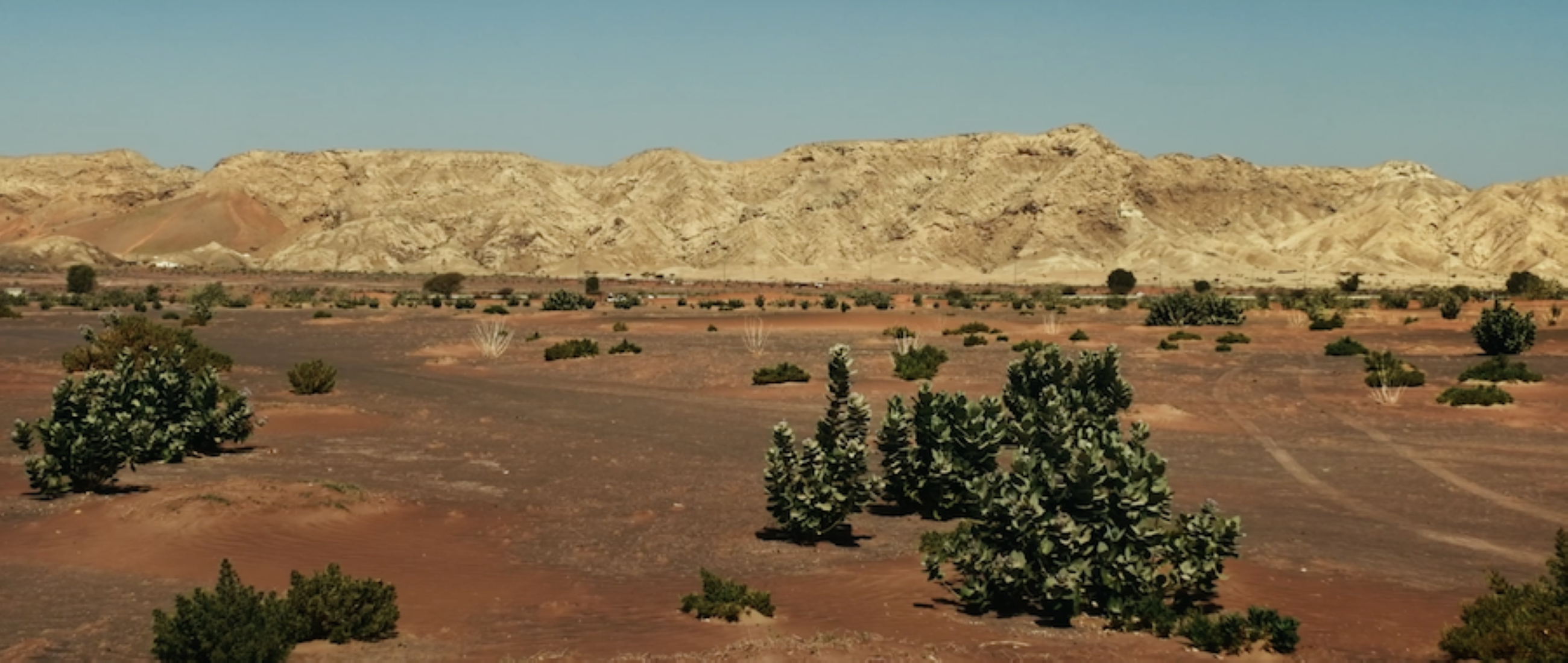 Sharjah launches Dhs2 million Faya Research Grant