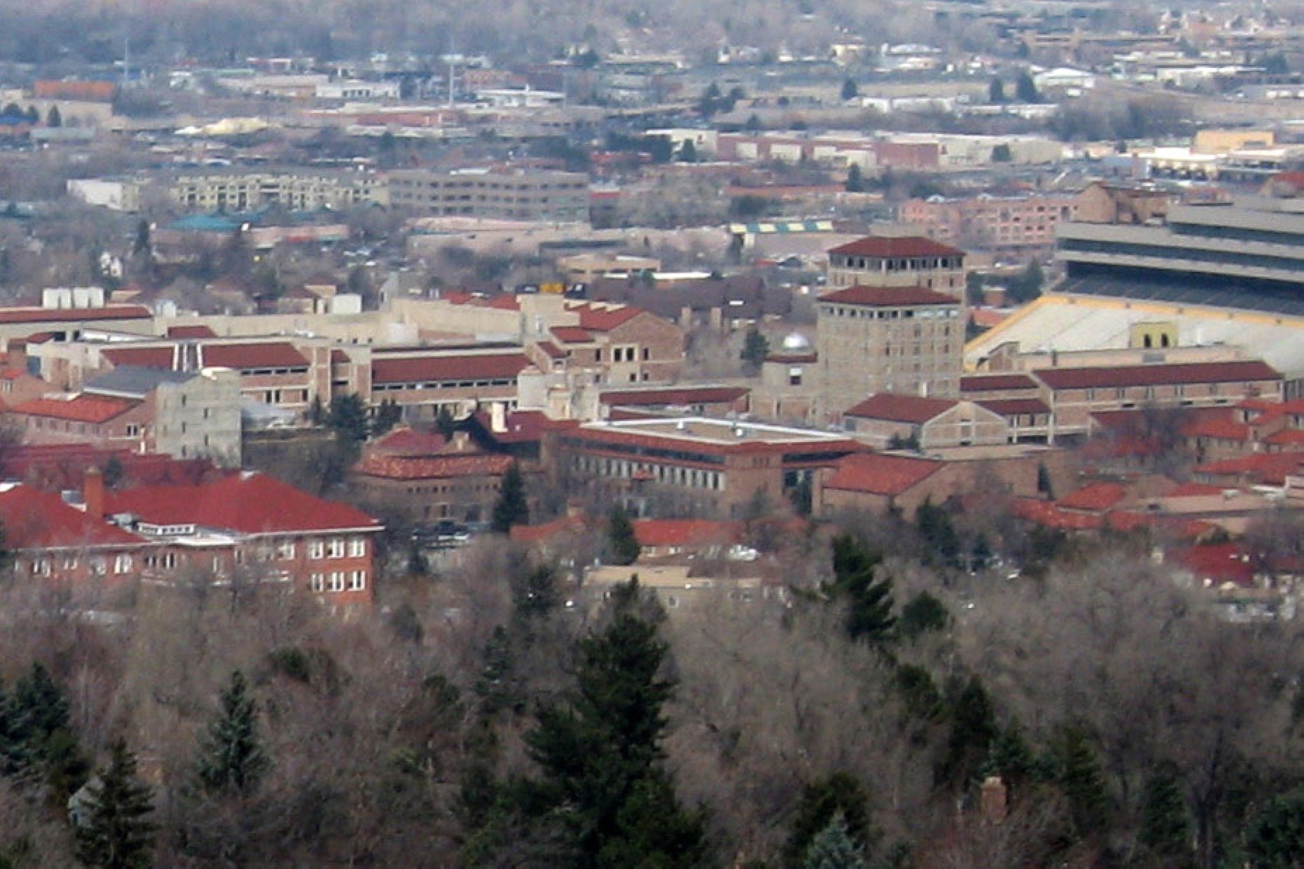 Indian couple win $200,000 lawsuit against ‘food racism’ at American university after ‘pungent’ palak paneer comment