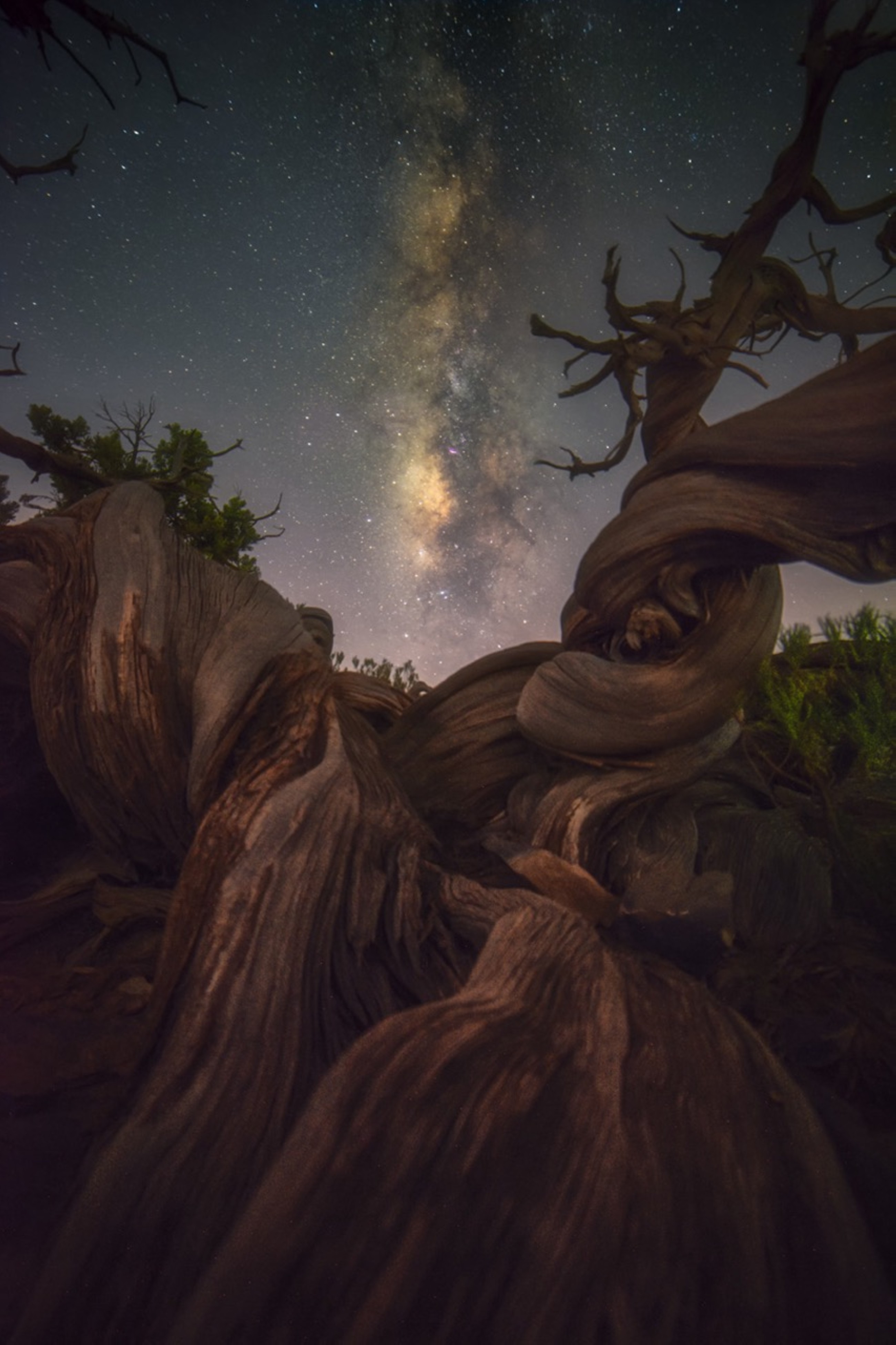 Xposure adds 5 new zones to visual storytelling programme