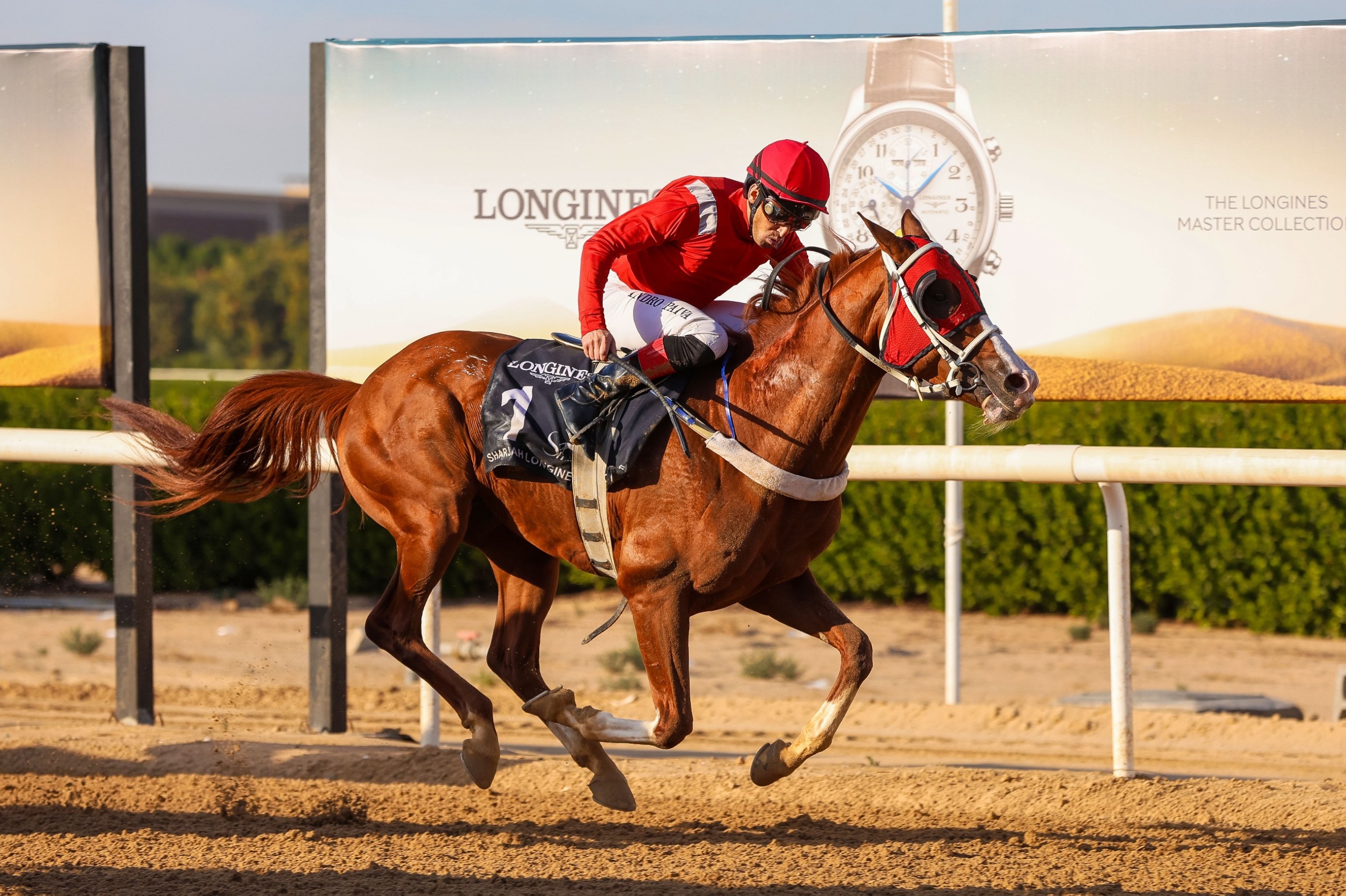 Al Motawassim and Es Shnaf among favourites for Ruler of Sharjah Cup