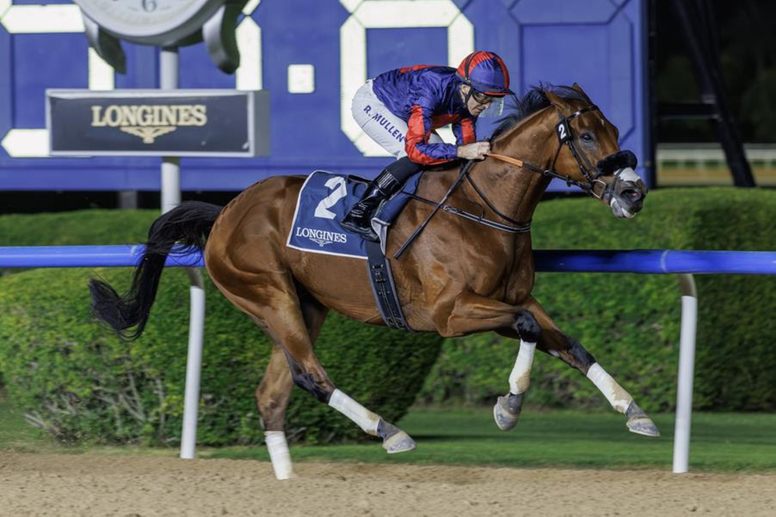 Imperial Emperor fuels Dubai World Cup dreams as Seemar saddles four winners
