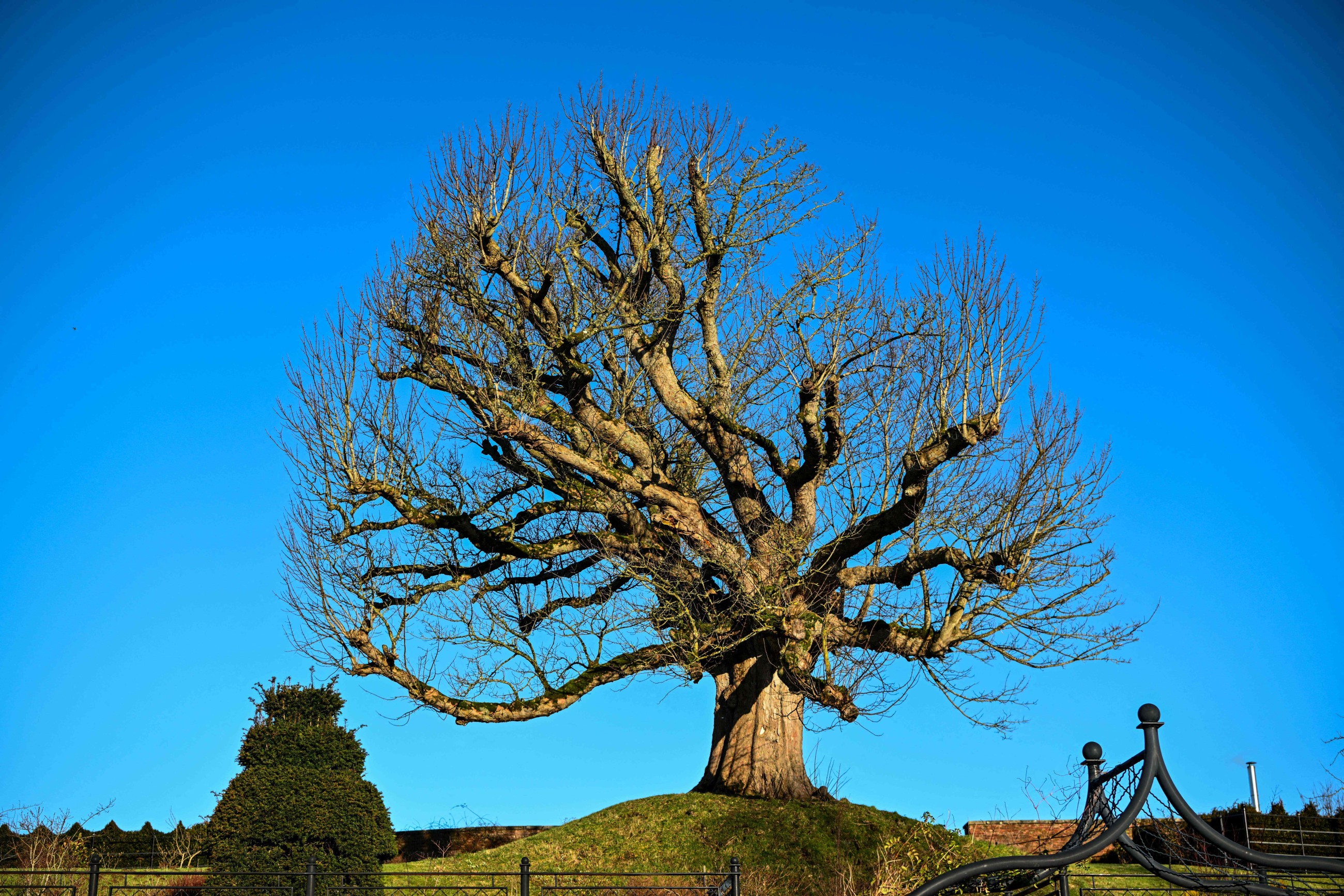 This is why King Charles&rsquo;s Dumfries House is getting lots of attention