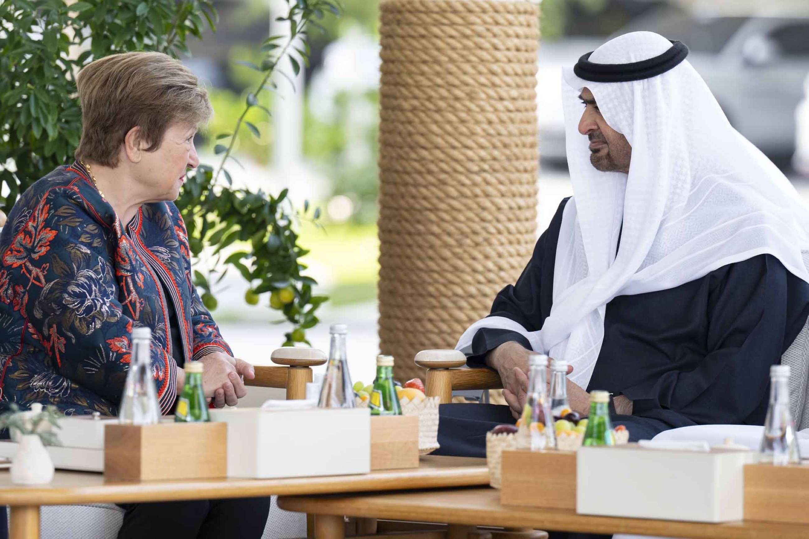 President receives IMF Managing Director