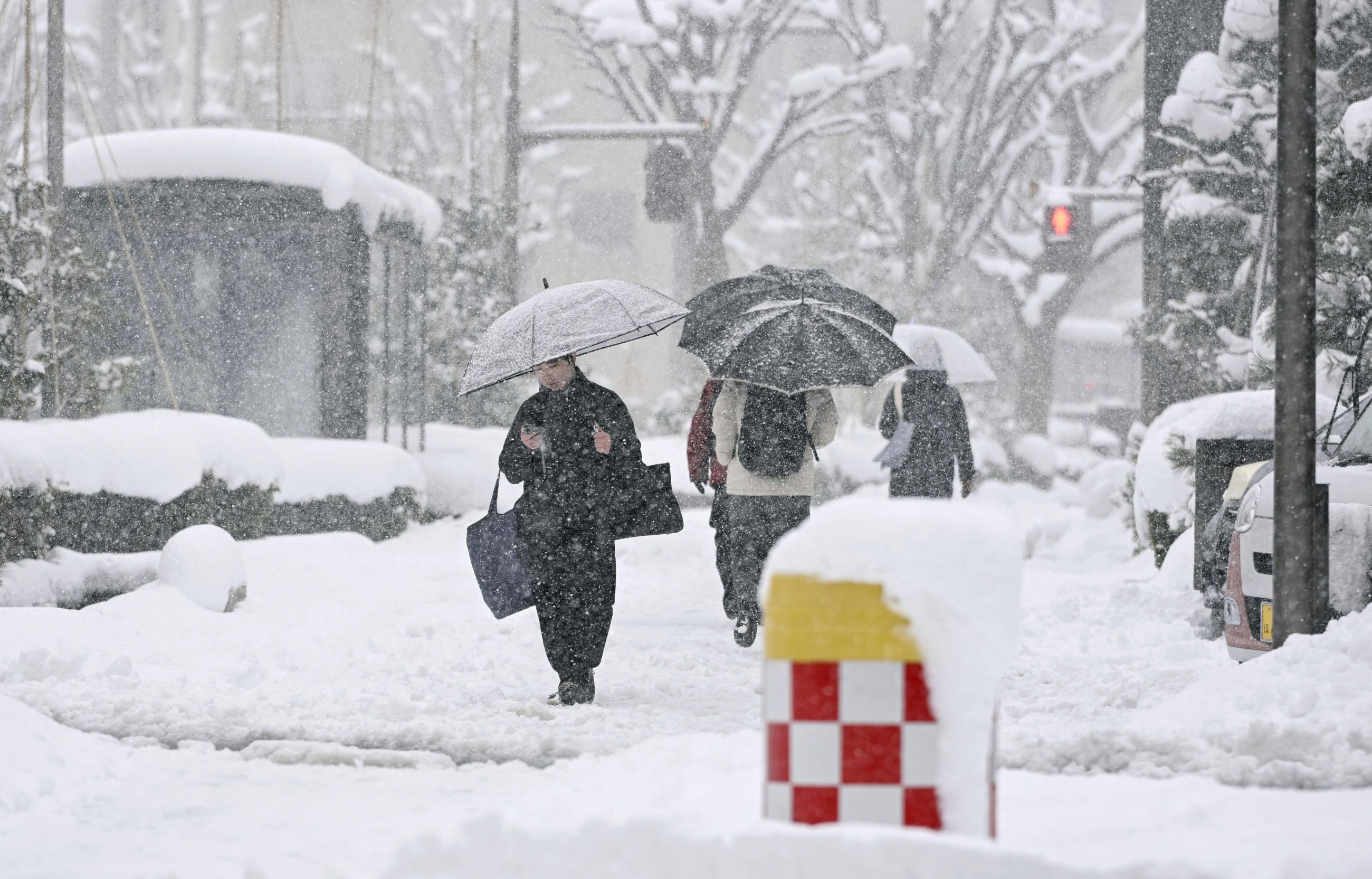Death toll from heavy Japan snow soars to 35
