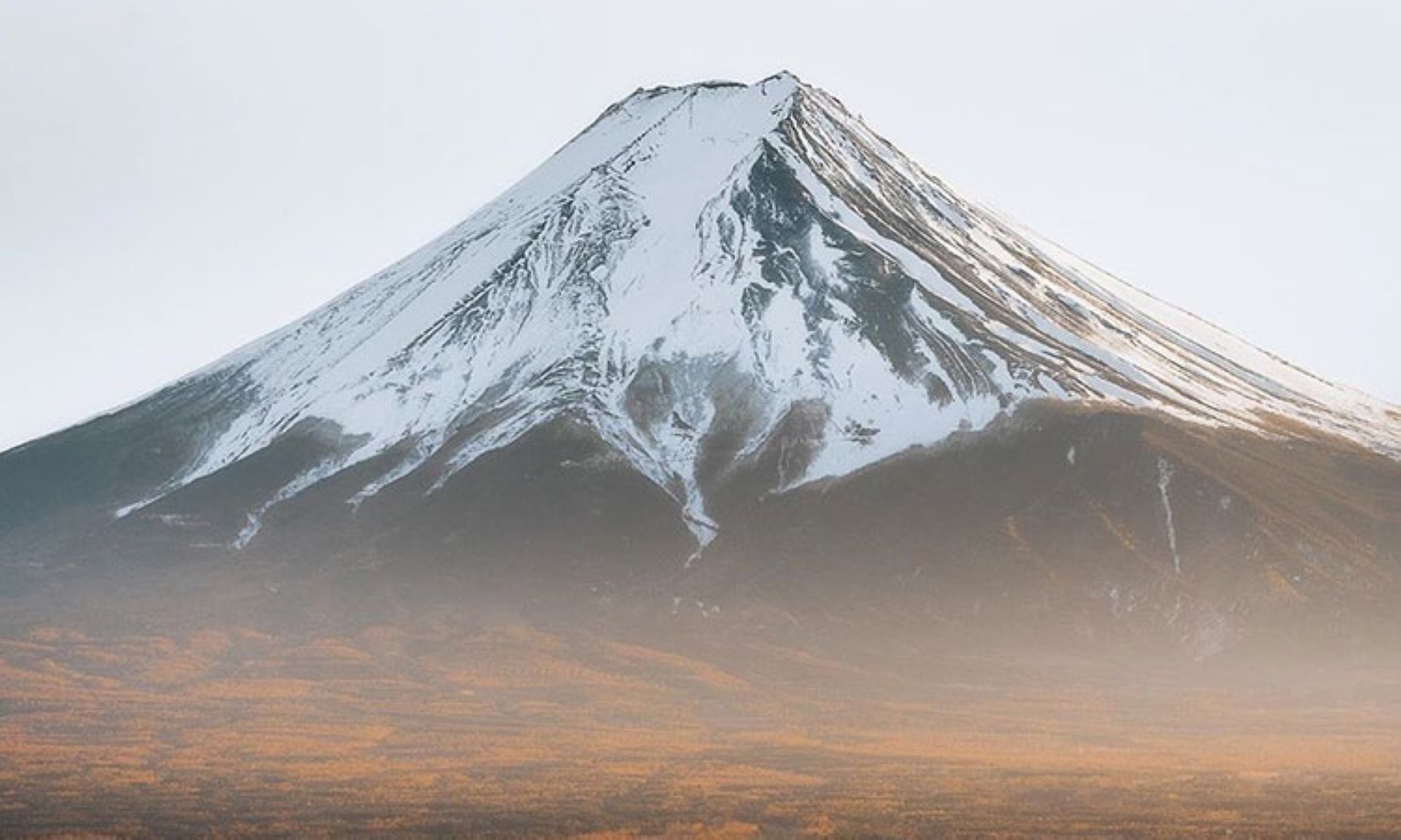 Mount Fuji cherry blossom festival cancelled due to overtourism