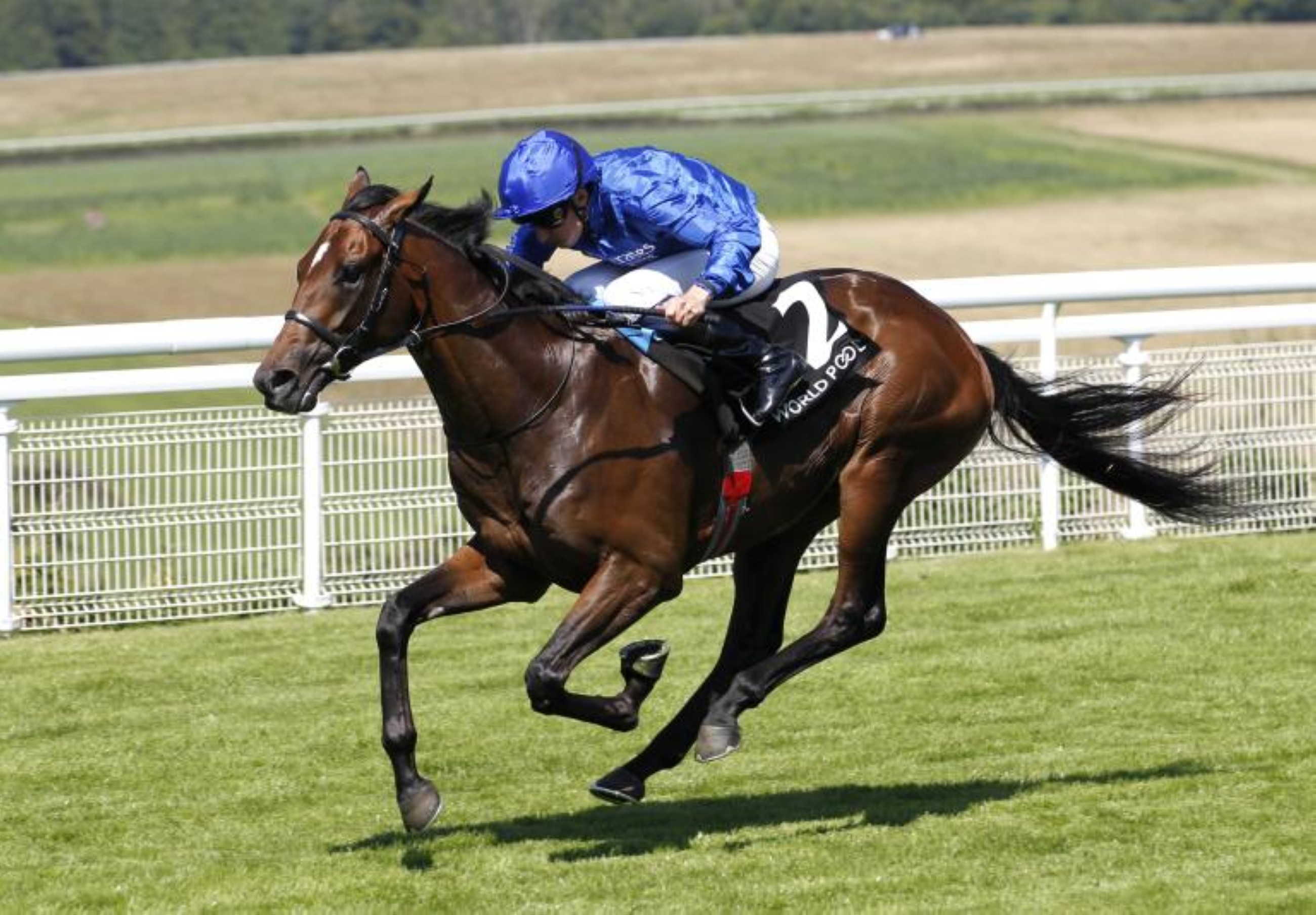 Aomori City sets sights on Gold Cup in capital