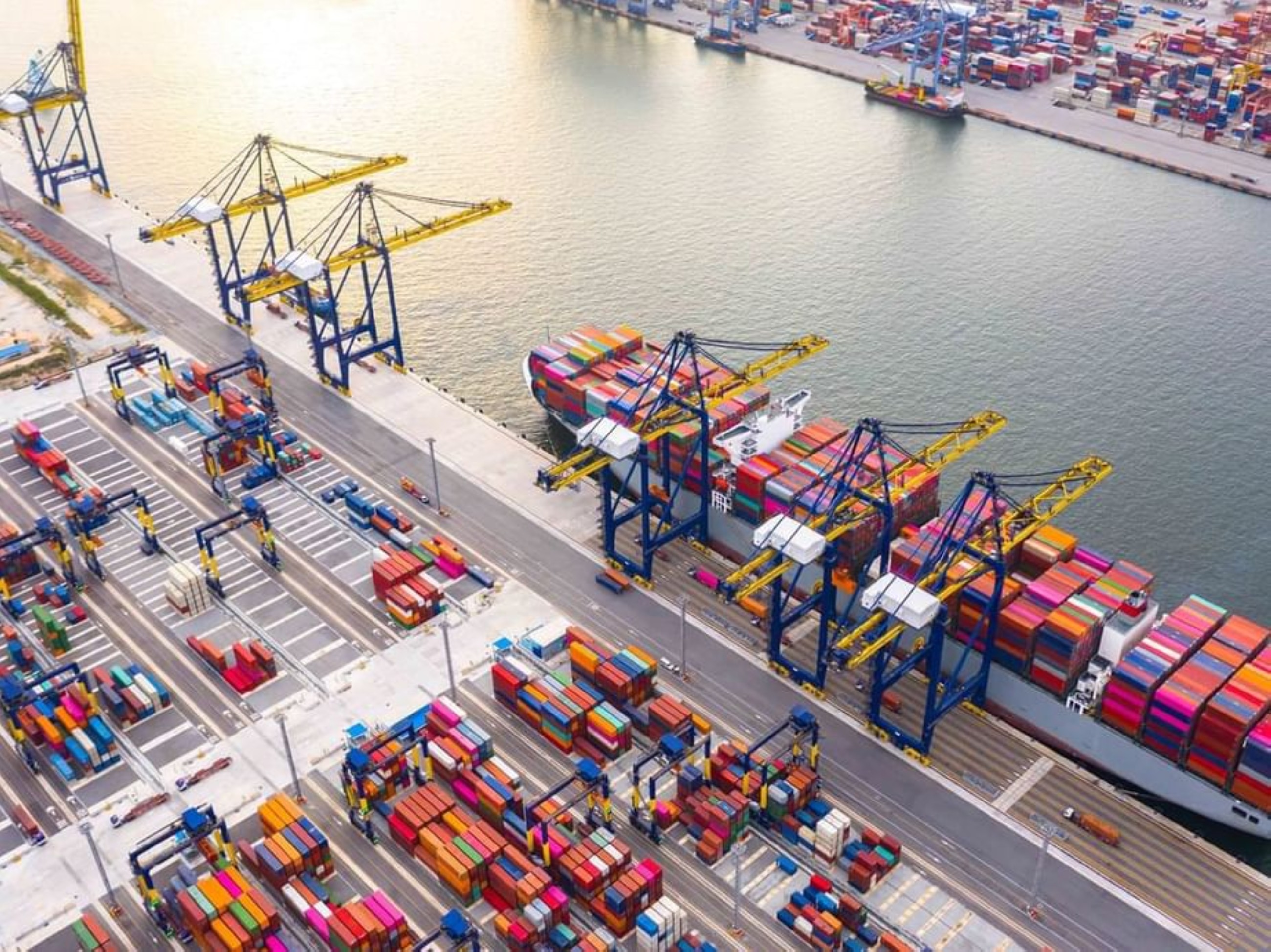 UAE is global food supply chain hub