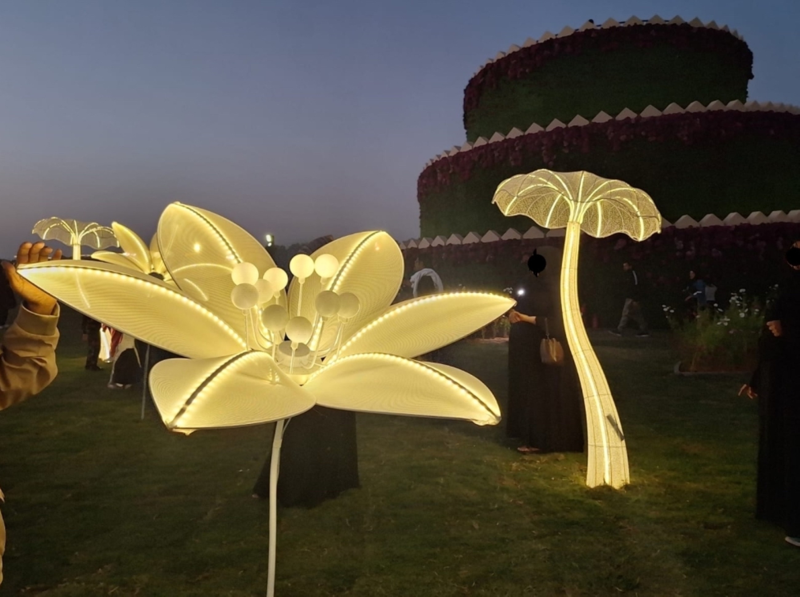 1,500 illuminated flowers spell out 'Al Ain Ghir' at Al Ain Flower Festival