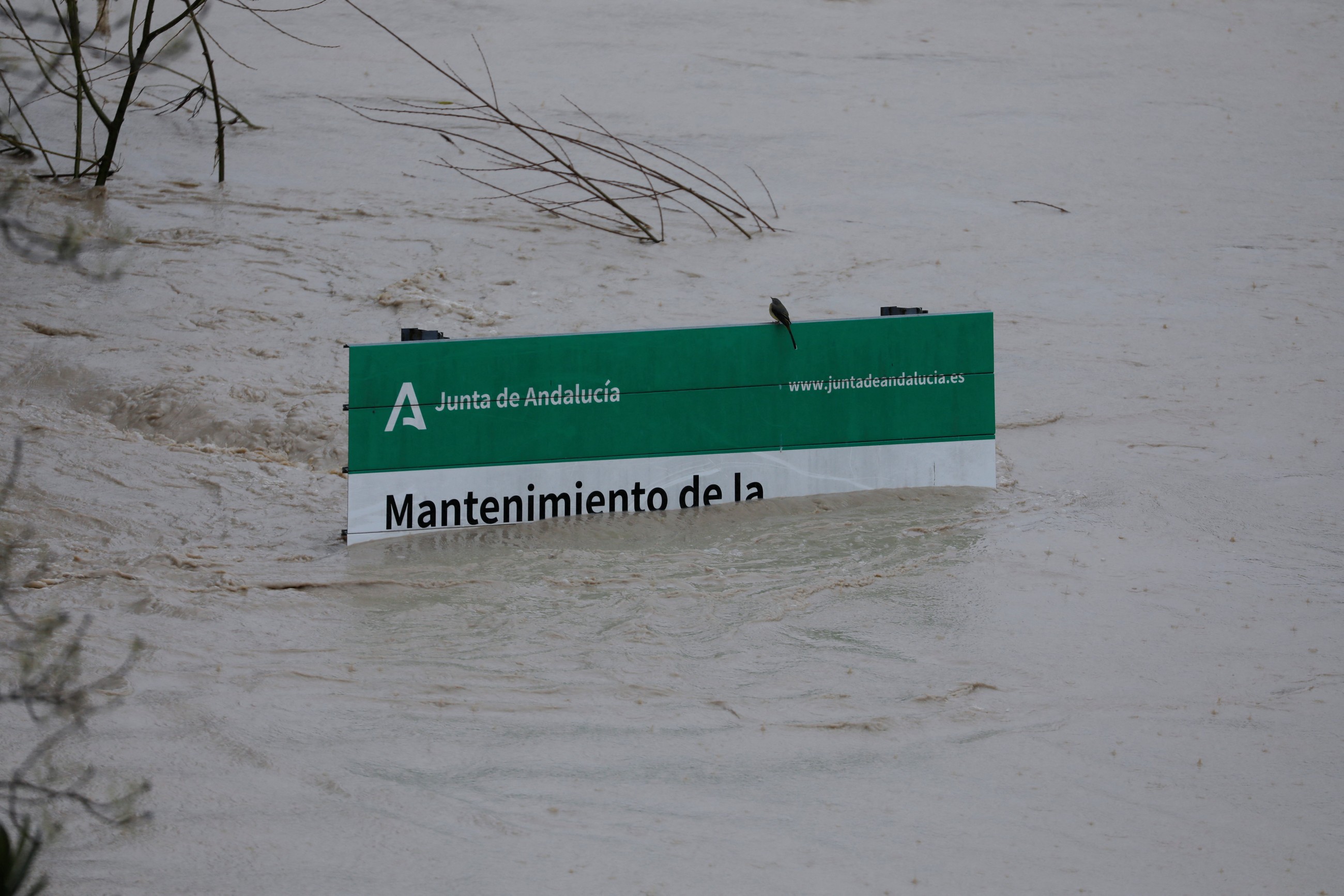 Spain, Portugal face fresh storms, torrential rain