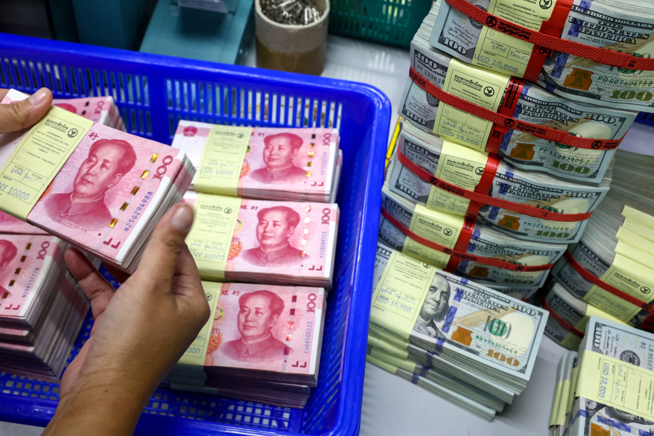 China's foreign exchange reserves rise in January
