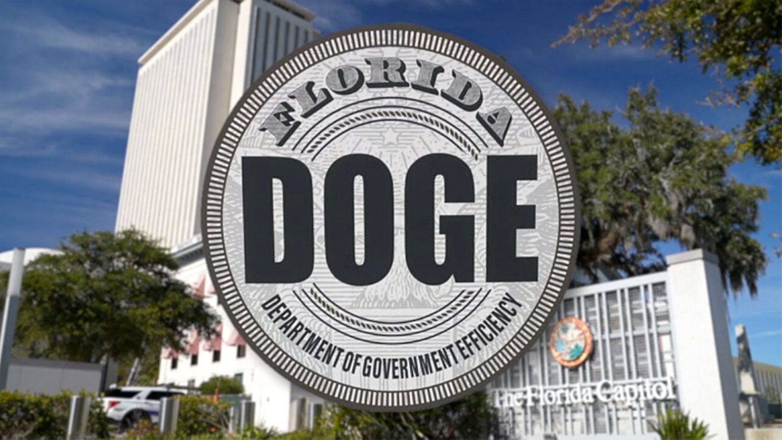 New Florida DOGE report could be helpful