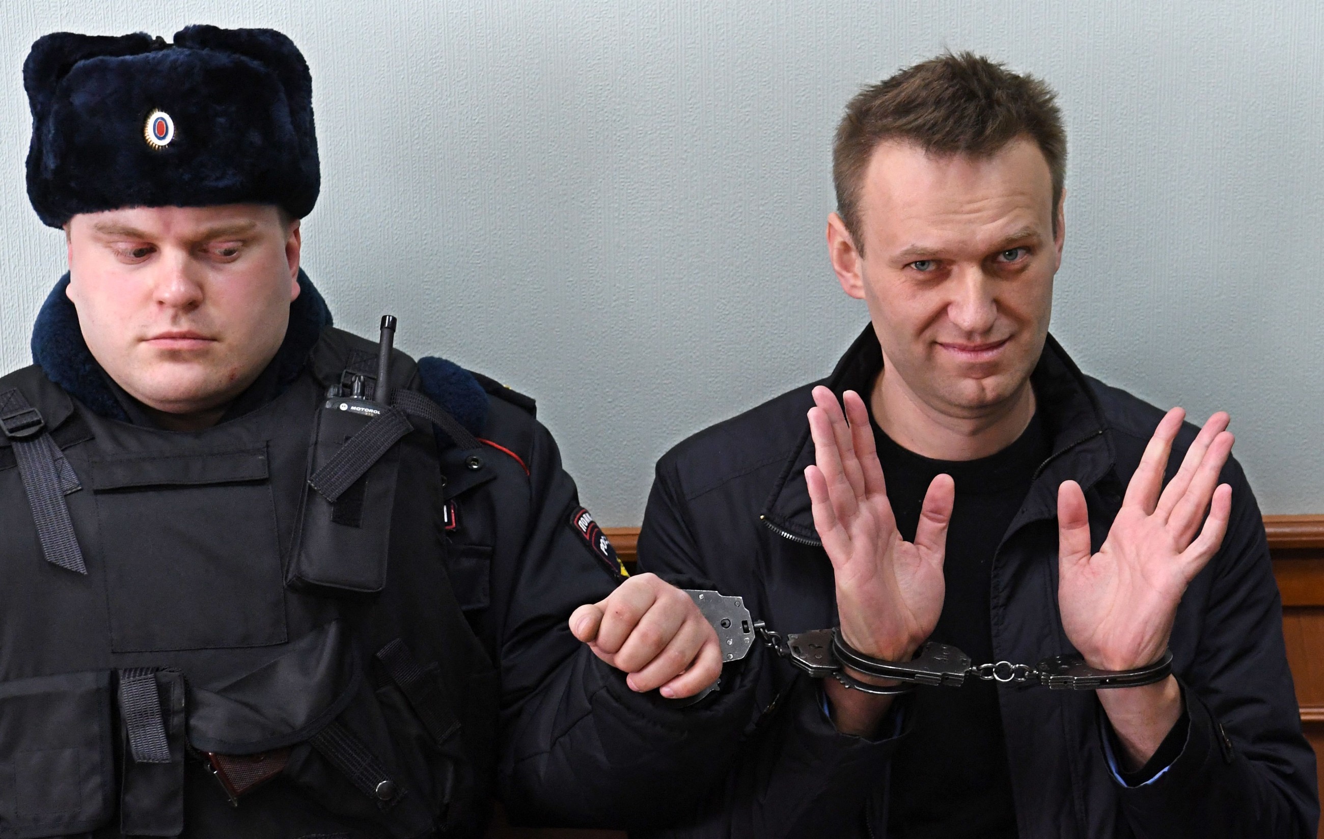 Russia poisoned Navalny with dart frog toxin, European nations say