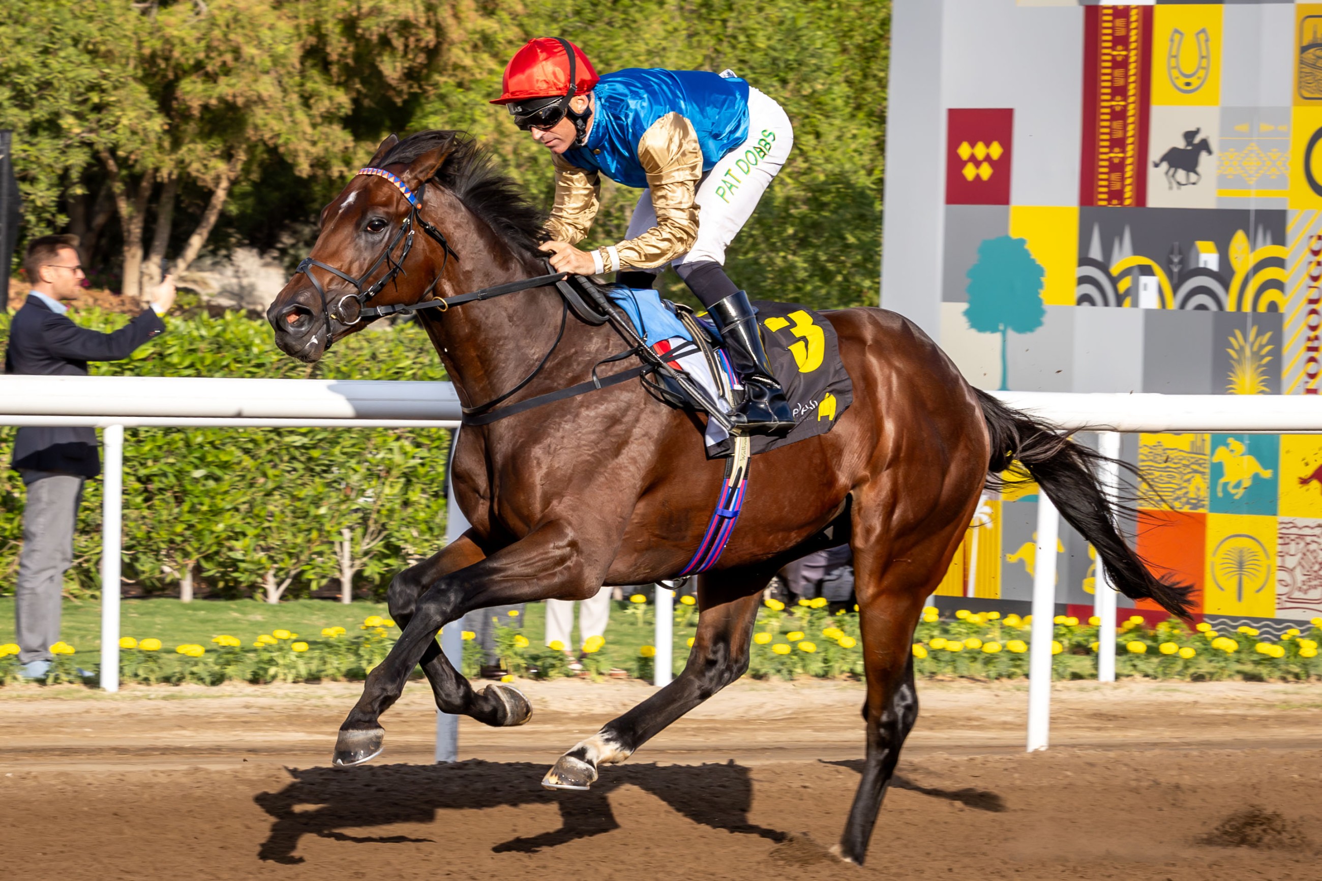 Jebel Ali Mile, Emirates Sprint Series finale headline JARC&rsquo;s ninth meeting