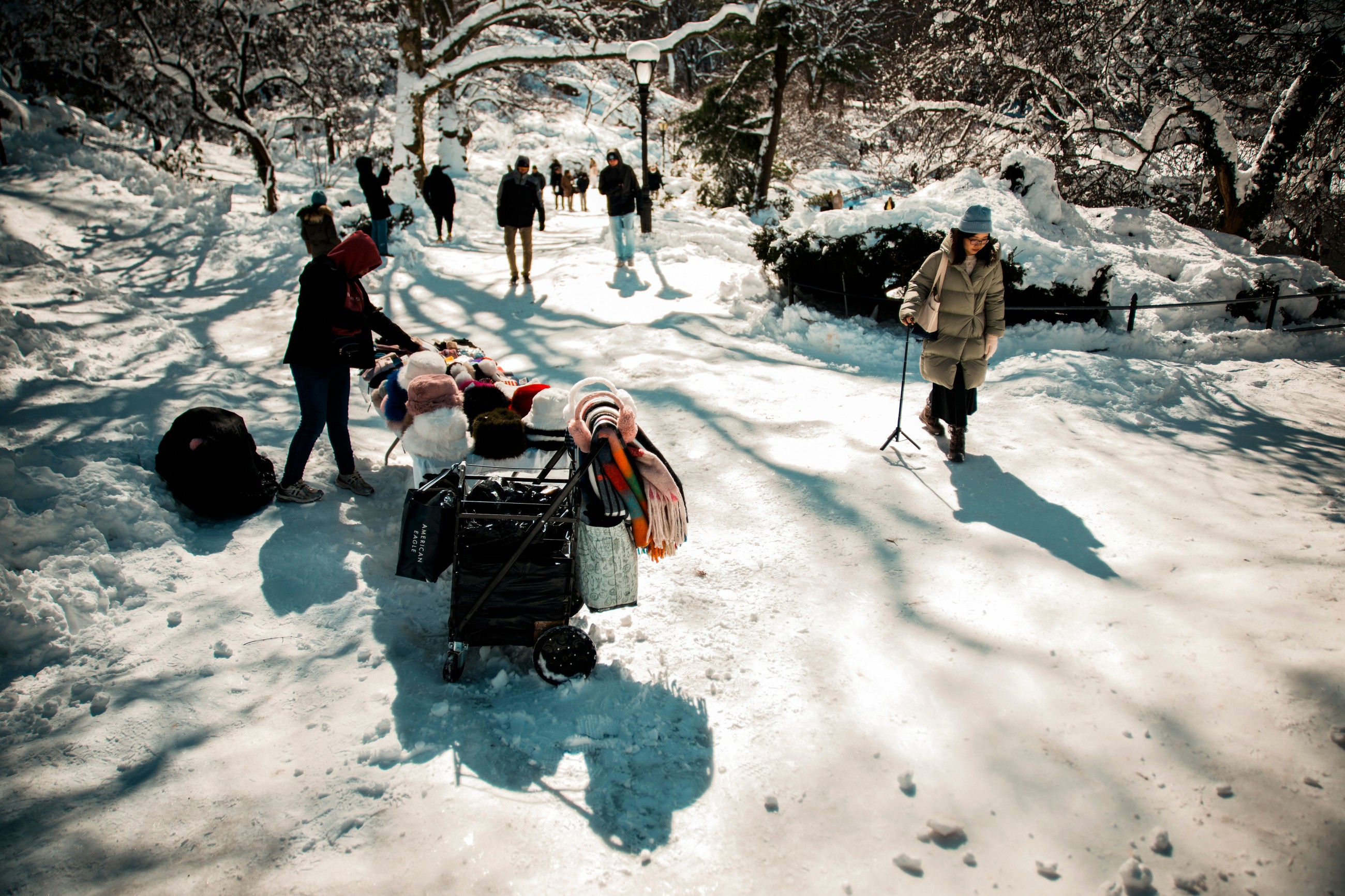 Snow havoc keeps millions at home in US