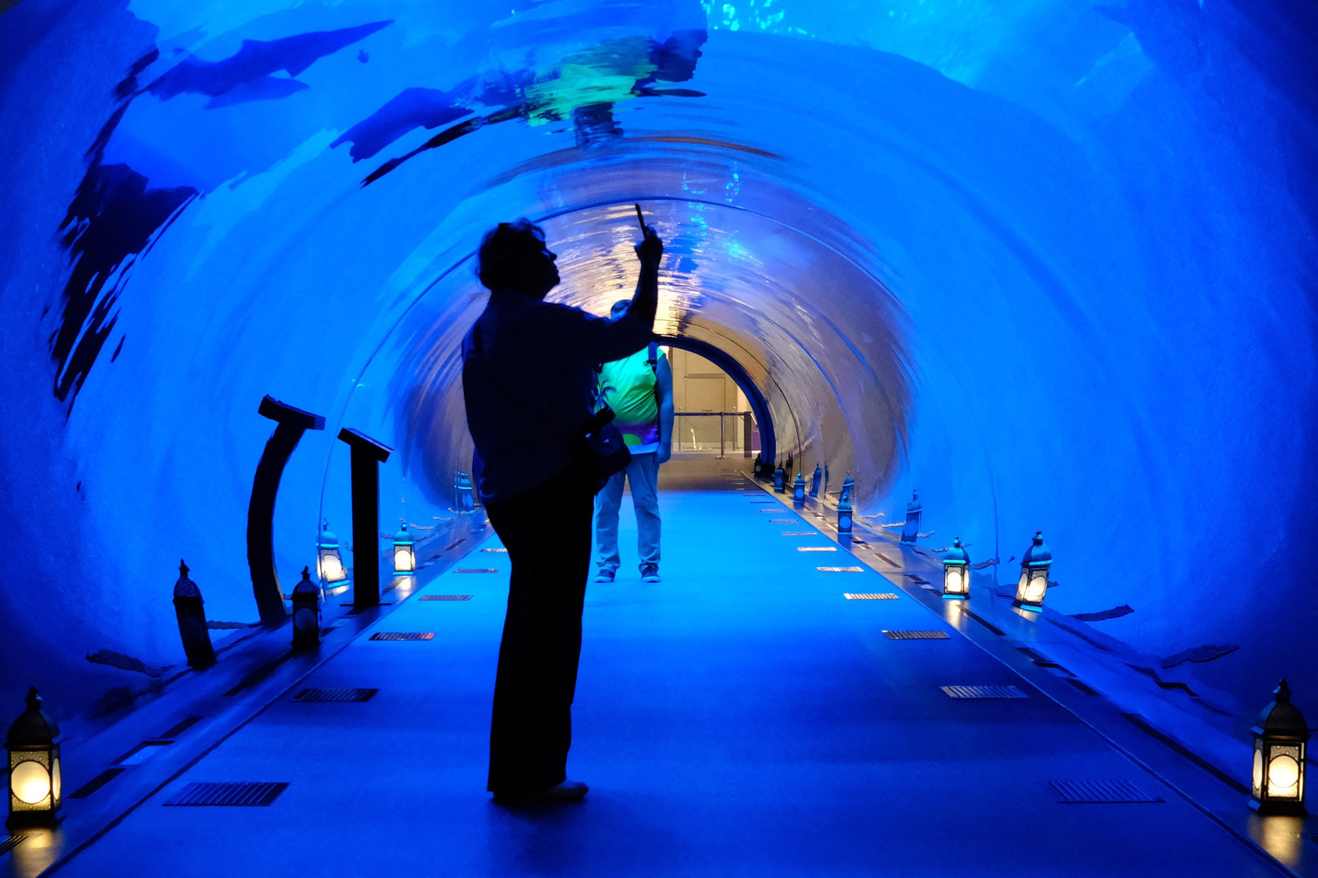 UAE tourism sector operates in line with regulatory frameworks