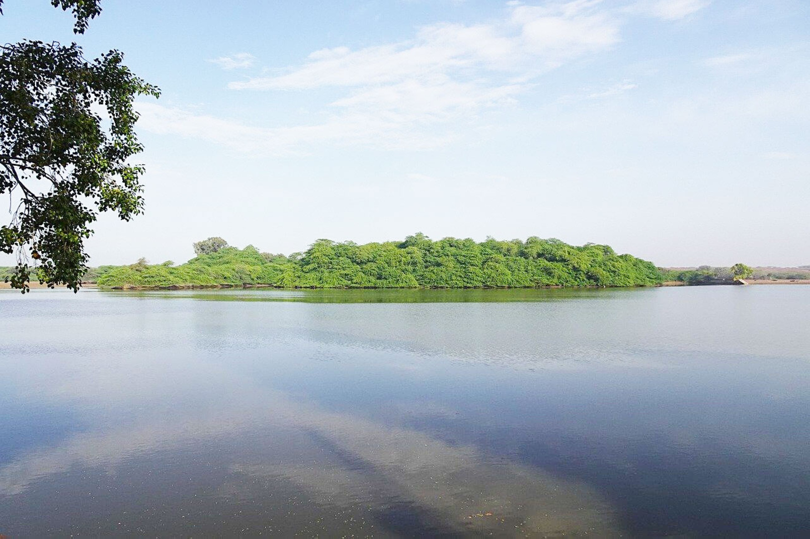 Man facing financial crisis kills three daughters by throwing them into lake in India