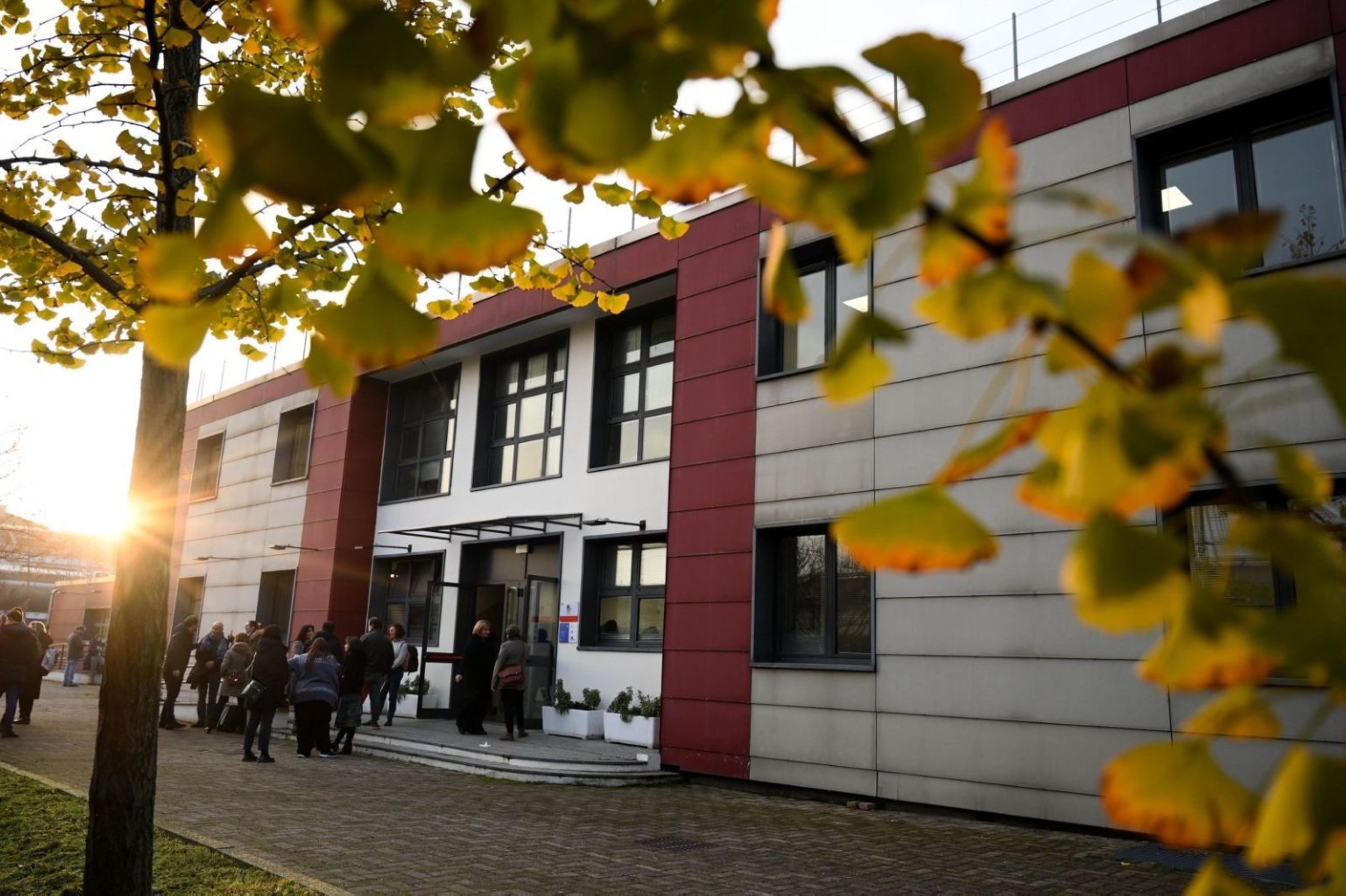 Sharjah's Milan centre to give Arabic training to municipal staff