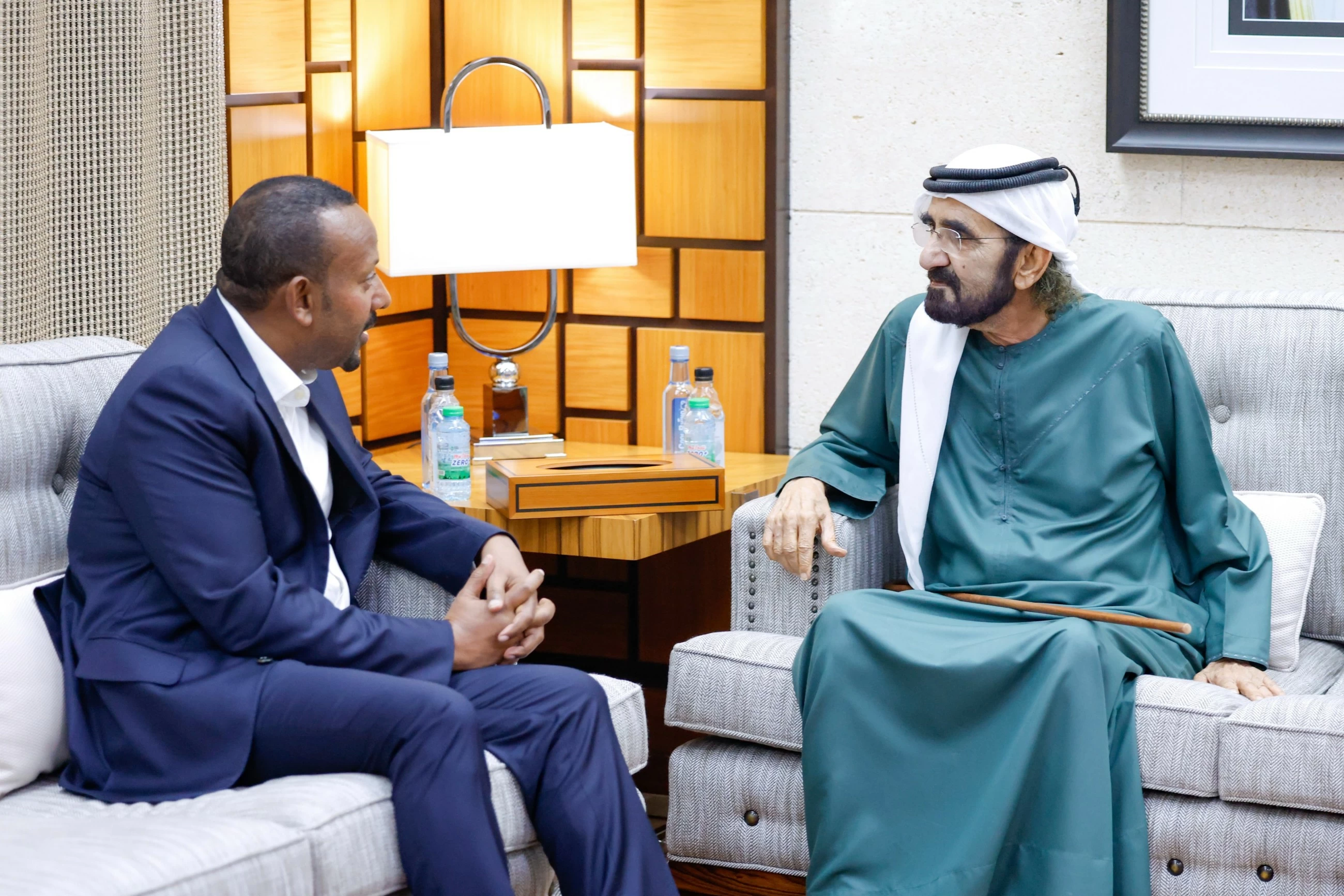 Mohammed discusses regional matters with Ethiopian PM