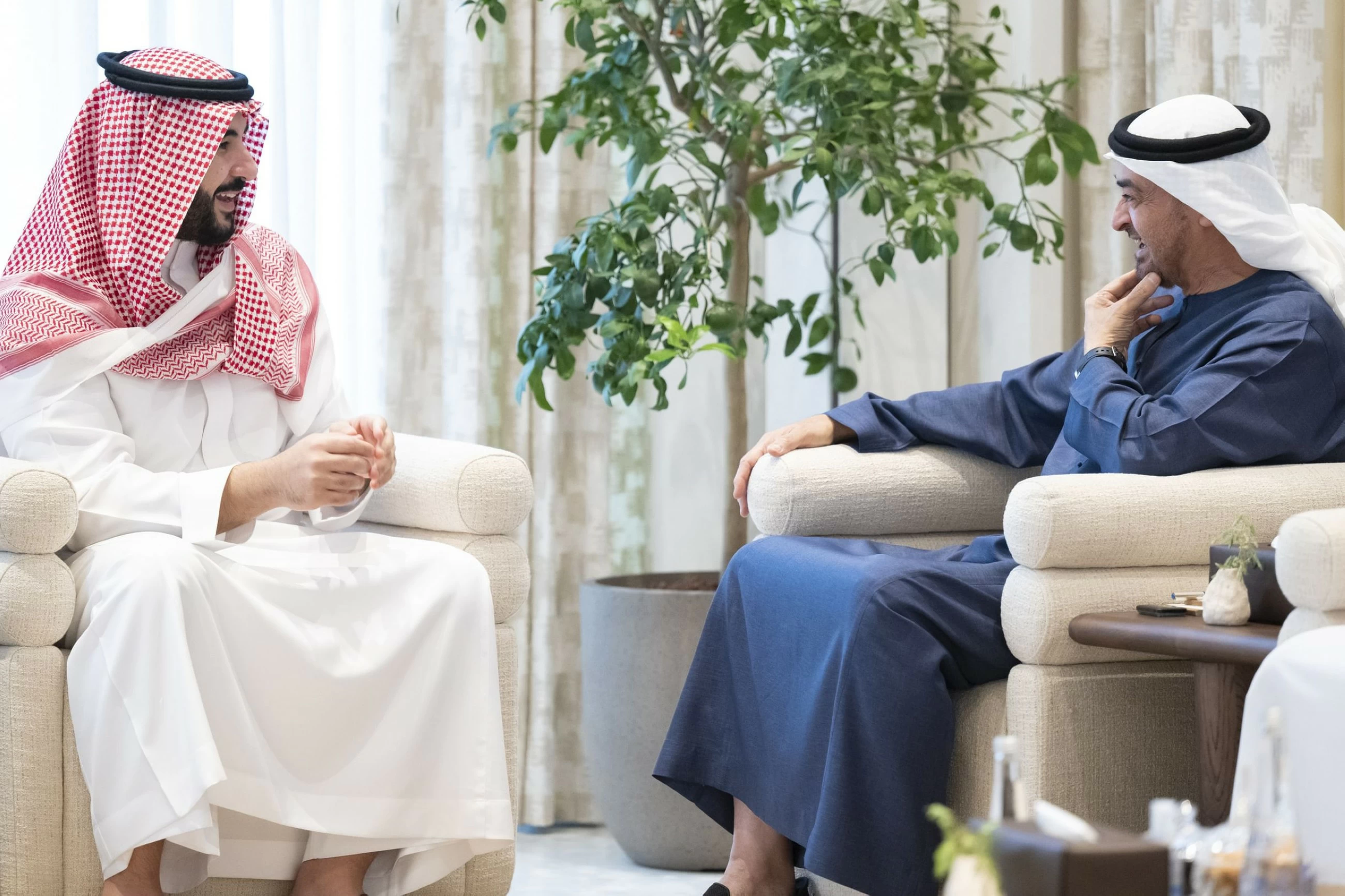 Der Präsident der Vereinigten Arabischen Emirate und der saudische ...