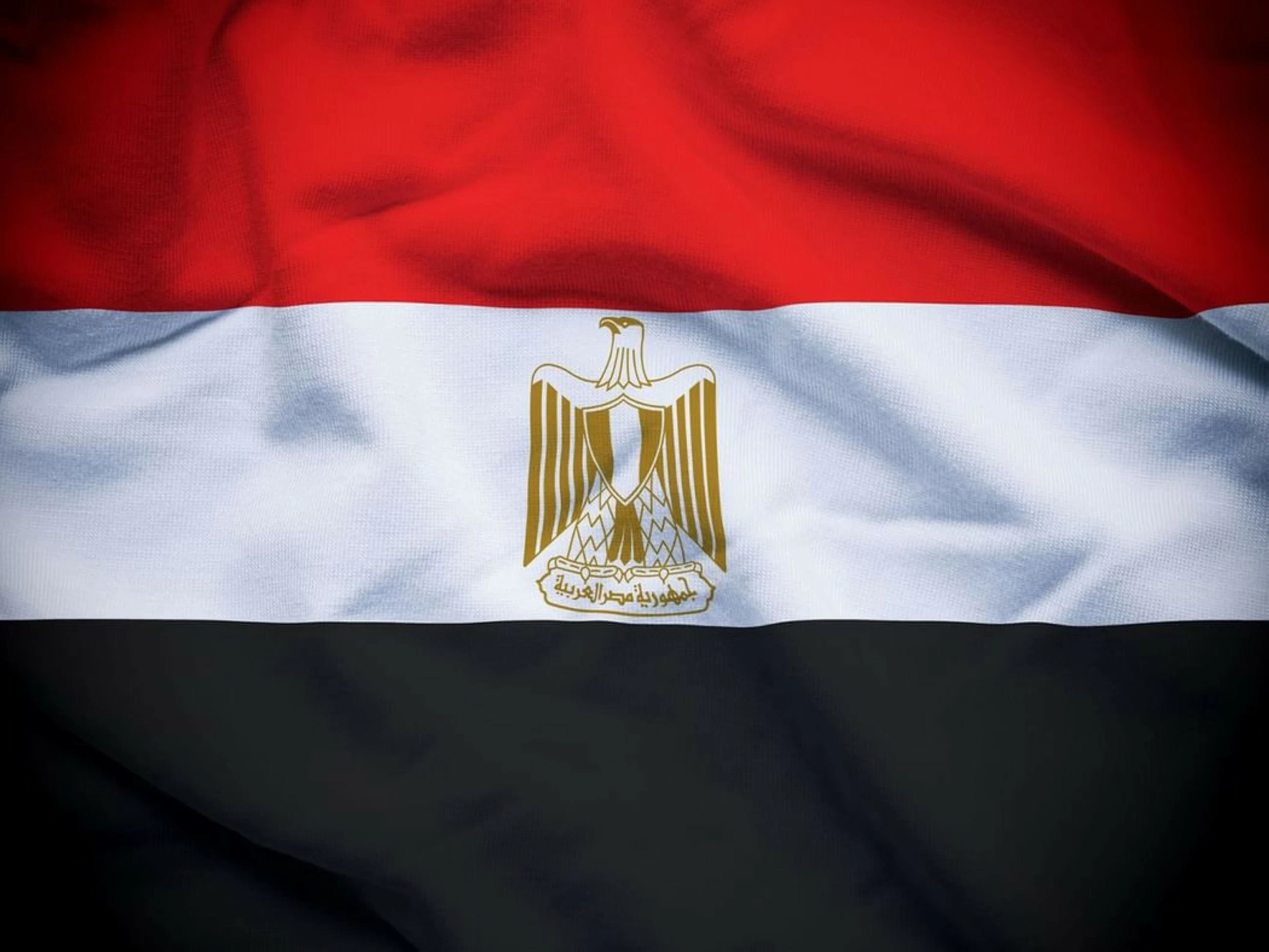 Egypt slams terrorist plots targeting UAE, Kuwait and other Gulf states