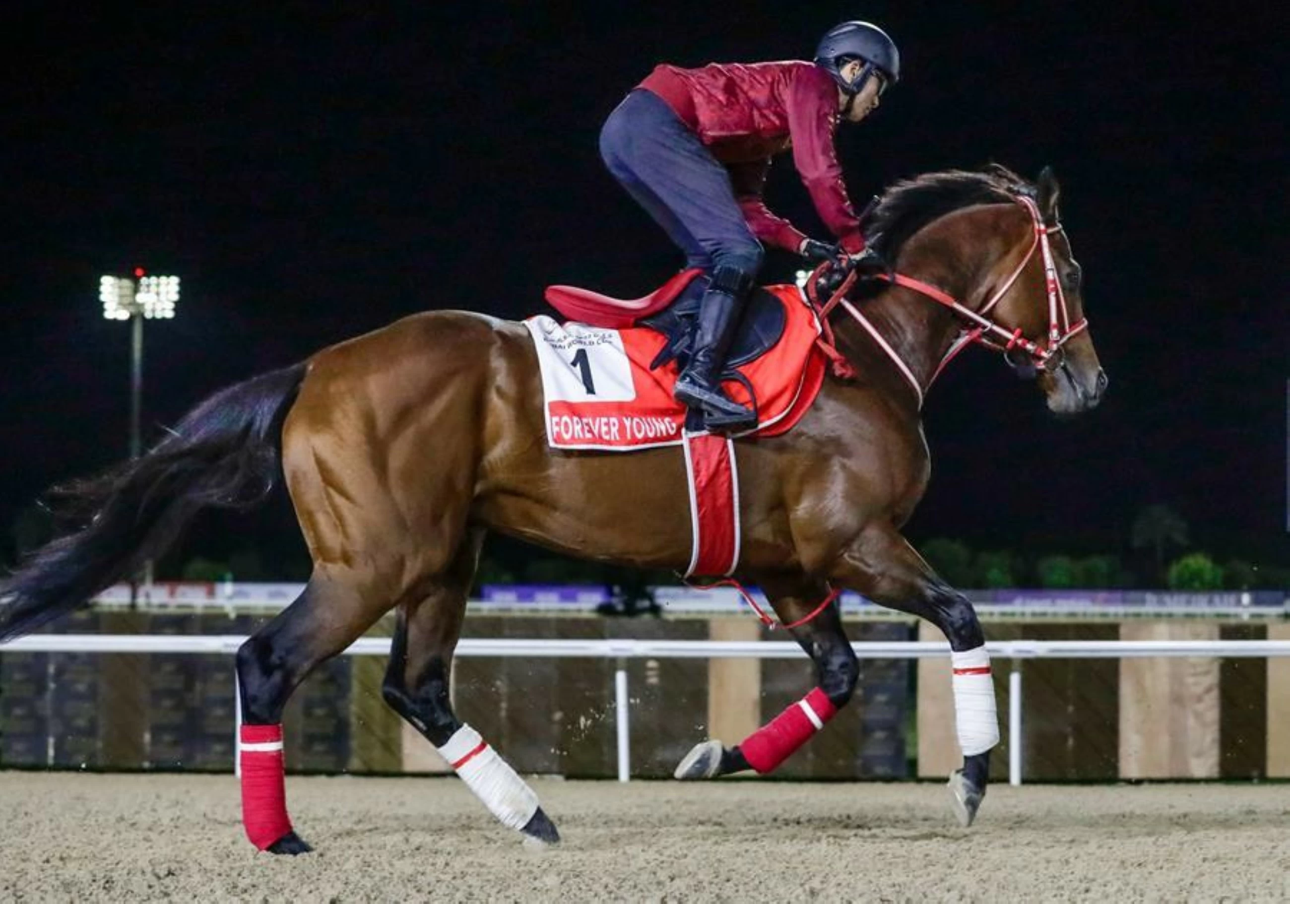 100 horses to compete in 30th Dubai World Cup with total prize money of $30.5m on Saturday