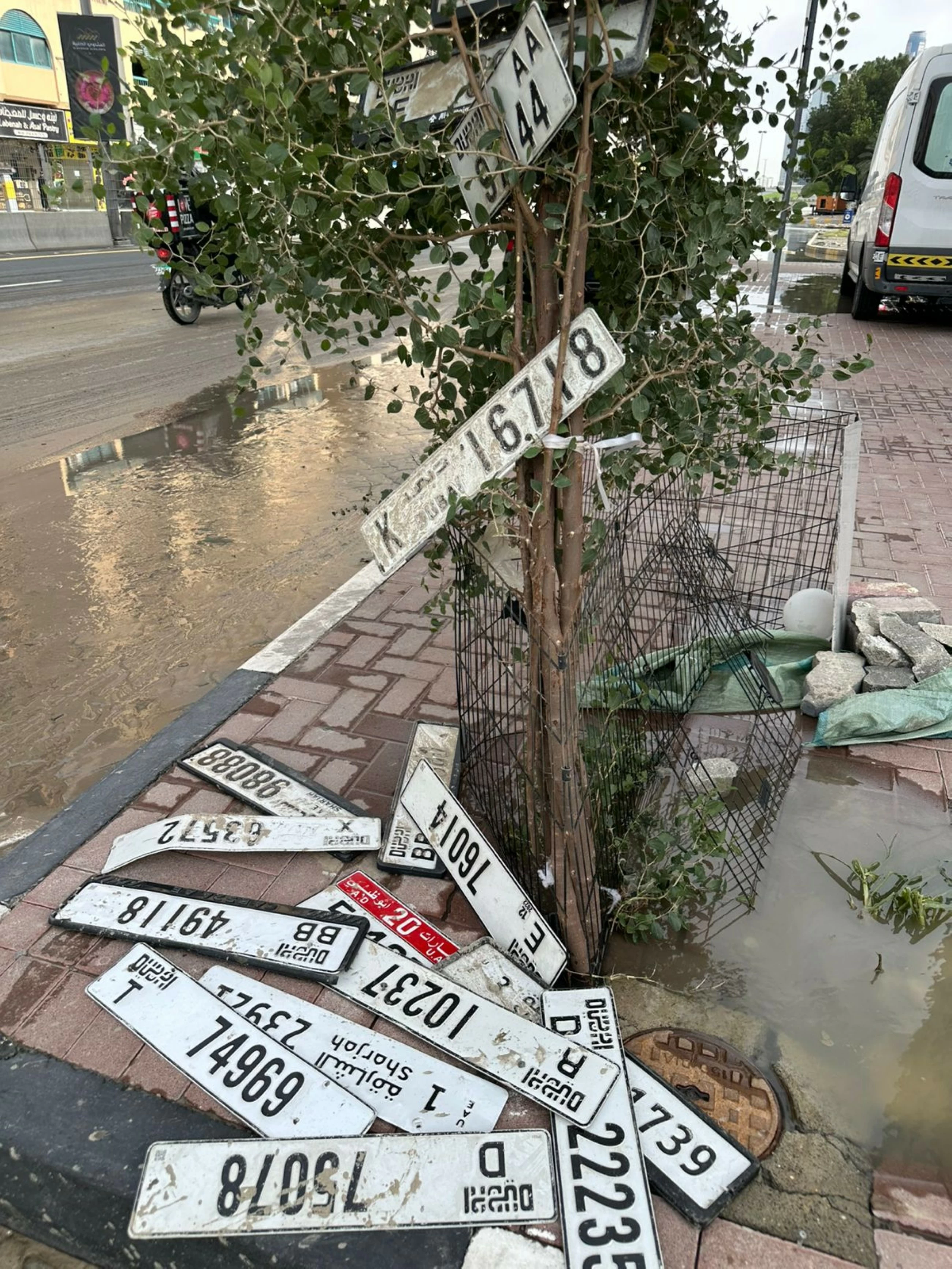 Floods in Sharjah leave trail of lost number plates across streets