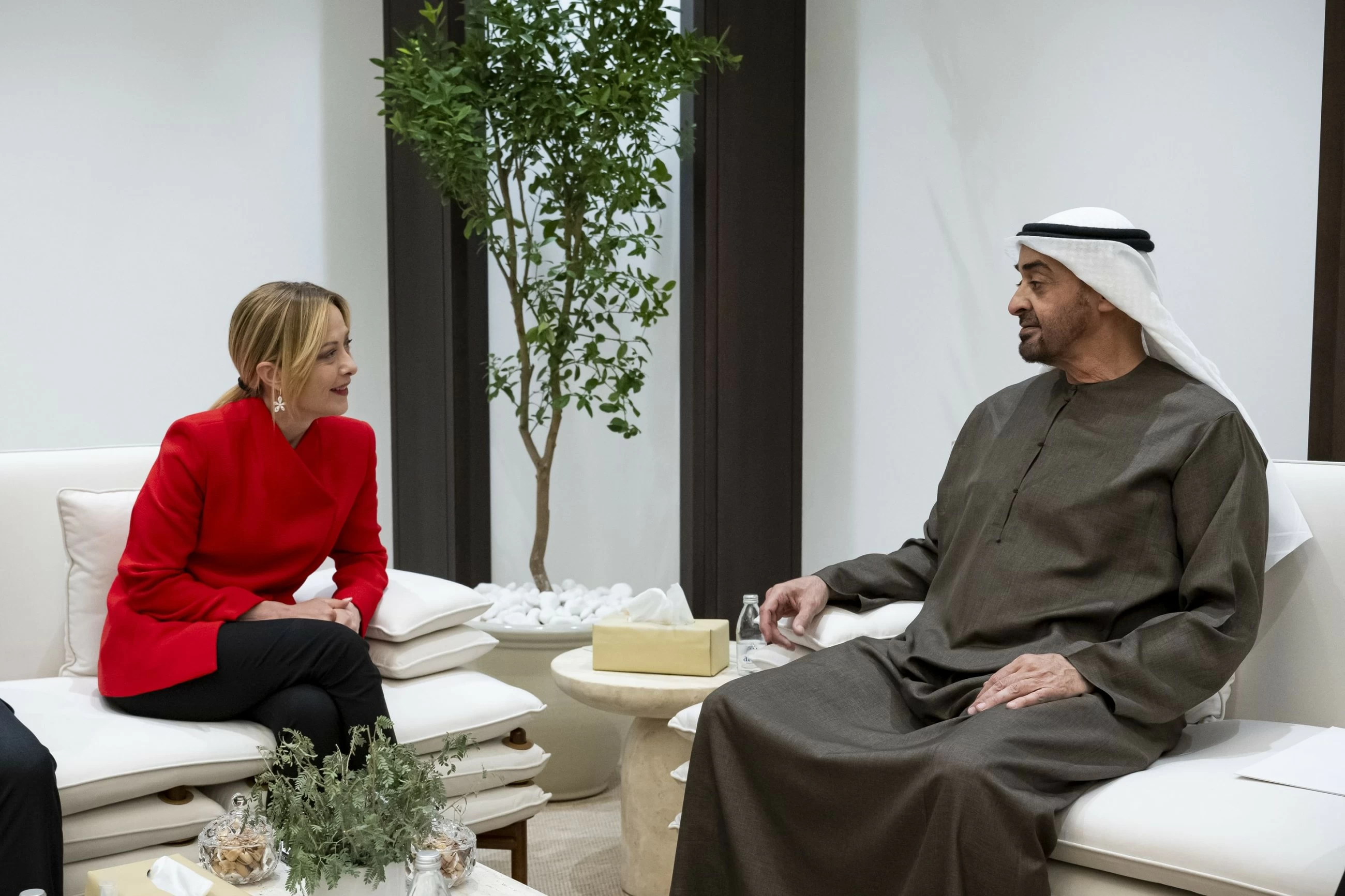UAE President, Italian Prime Minister discuss regional developments and bilateral cooperation