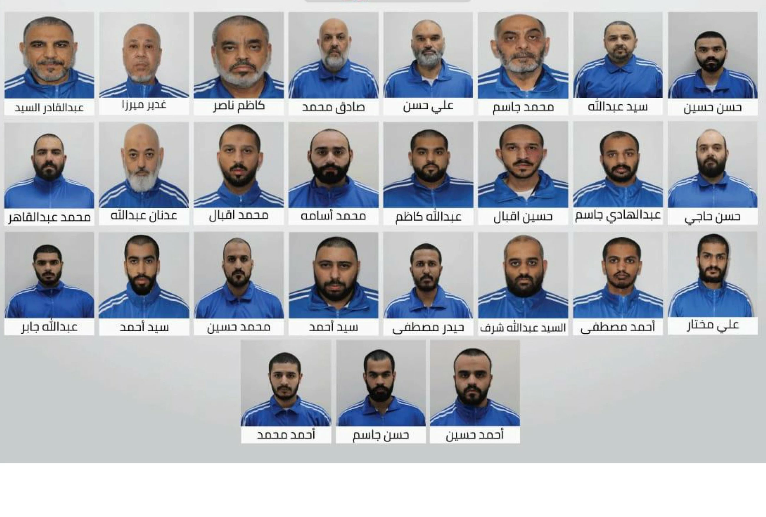 UAE announces dismantling of terrorist organisation plotting to undermine country's security, stability