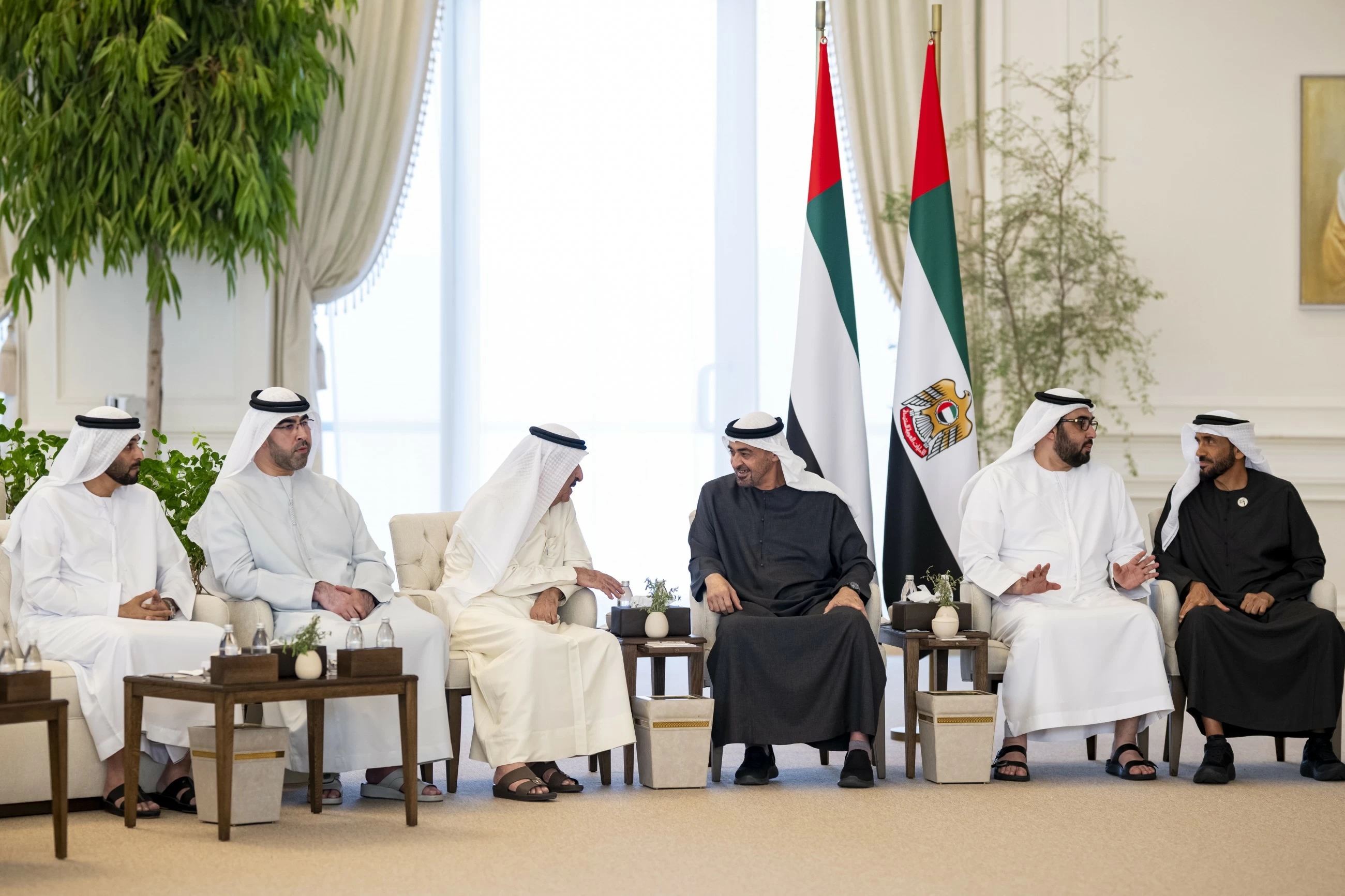 President, Ruler of Umm Al Quwain discuss citizens' wellbeing