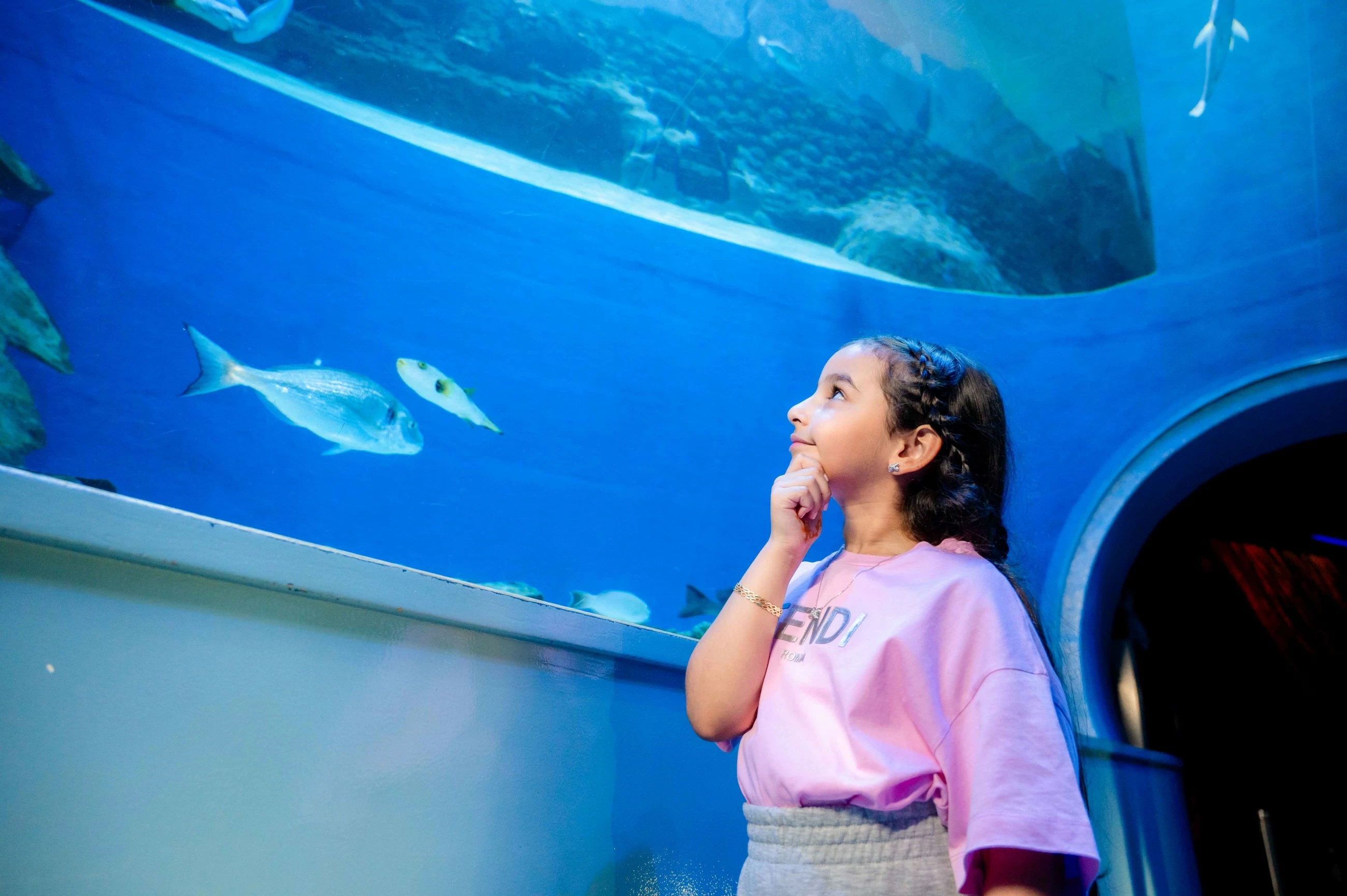 Sharjah Museums body marks International Museum Day with 4-day programme