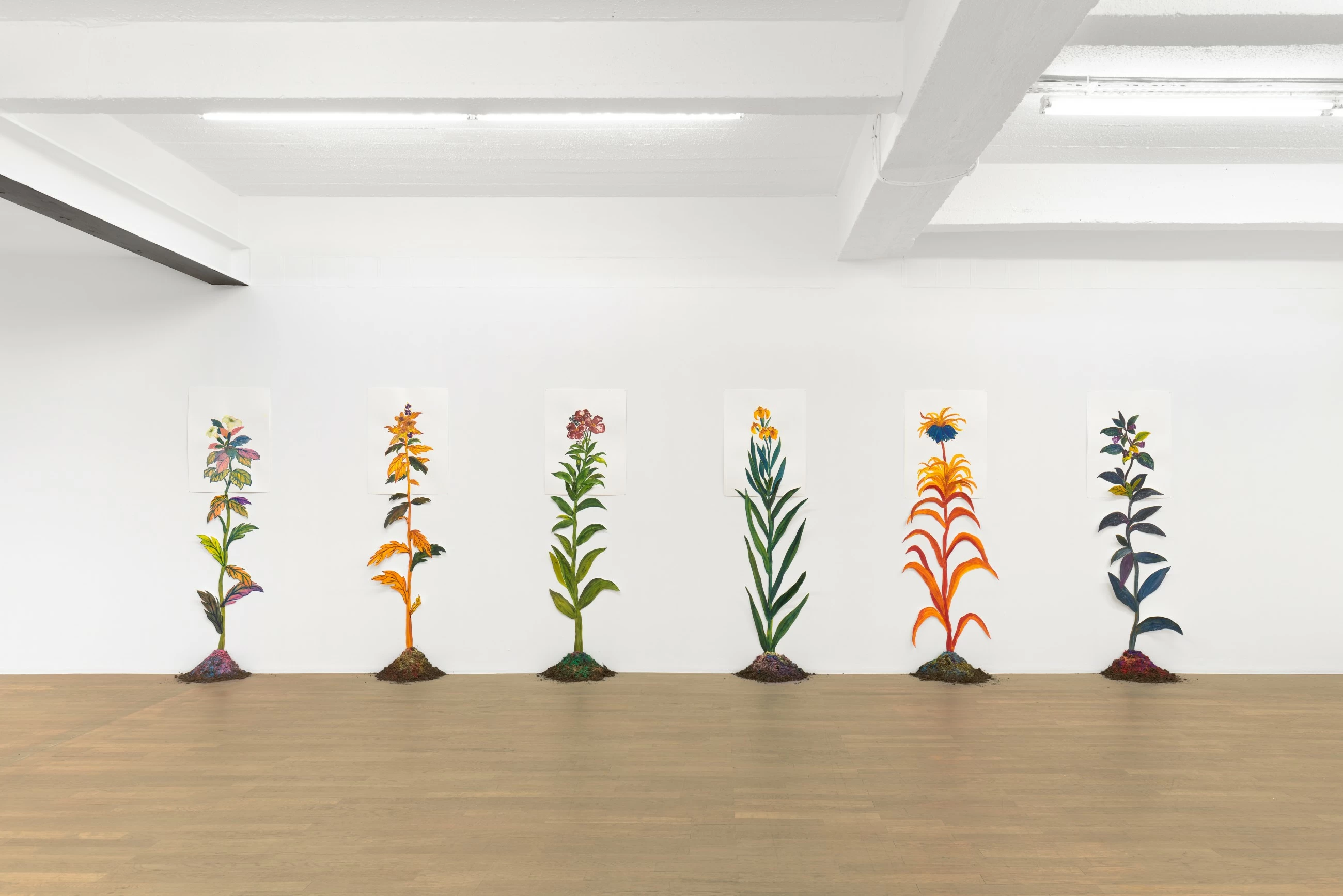 New show by Dom Art Projects looks into growth factor of vegetal rhythms