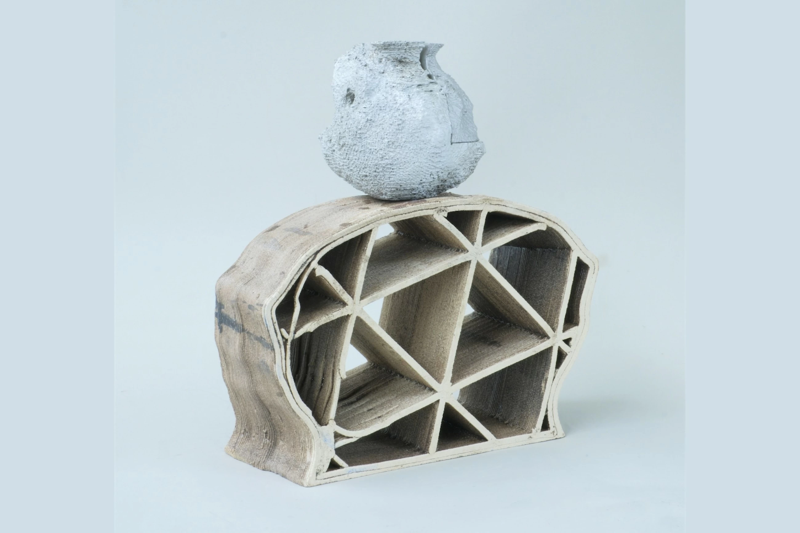 New show by Dom Art Projects looks into growth factor of vegetal rhythms