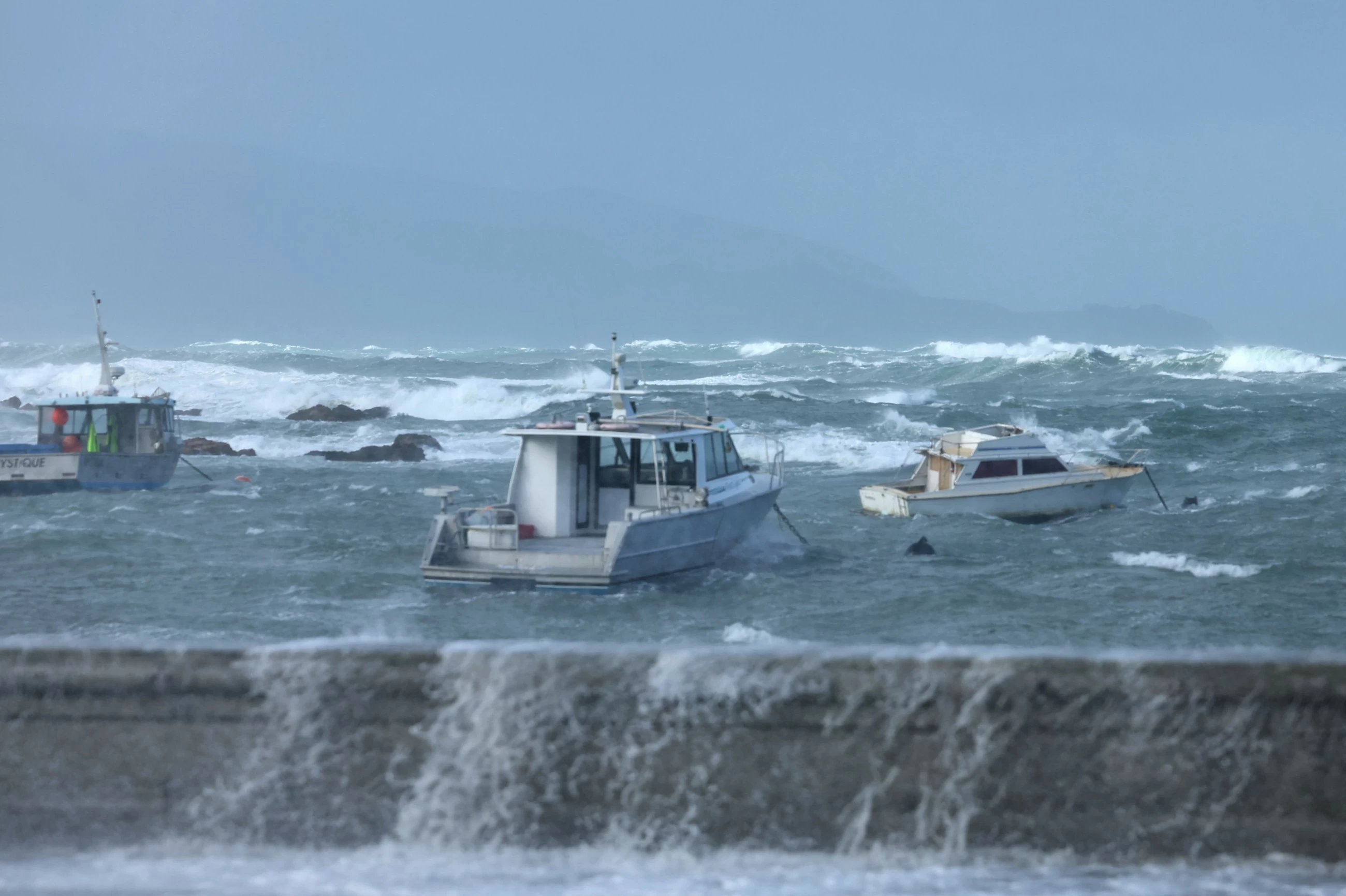 Flights cancelled, roads closed as gale-force winds batter New Zealand&rsquo;s capital Wellington