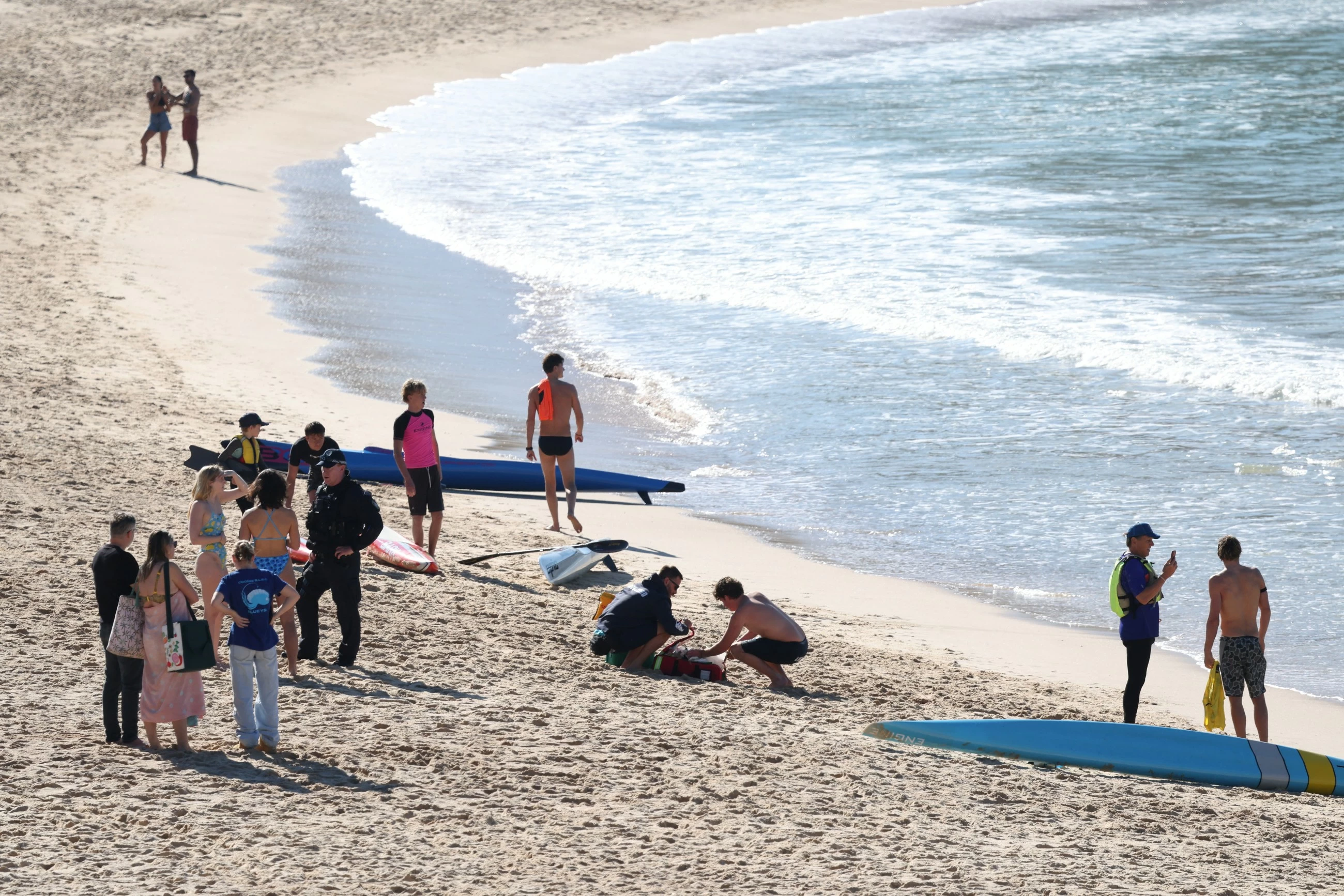 Woman seriously injured in shark attack at Sydney's Coogee Beach