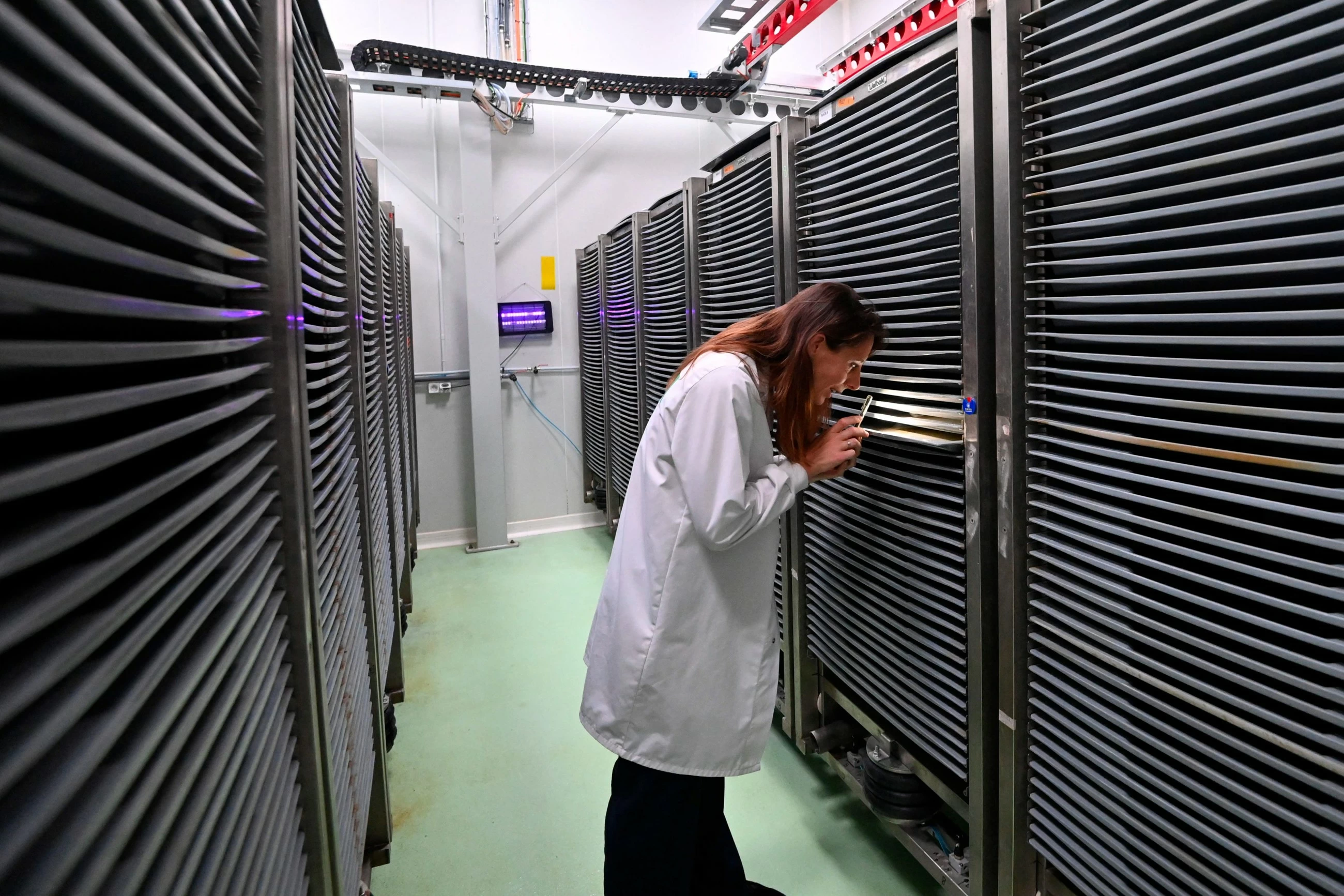 Scientist confronting the rising global threat of mosquitoes