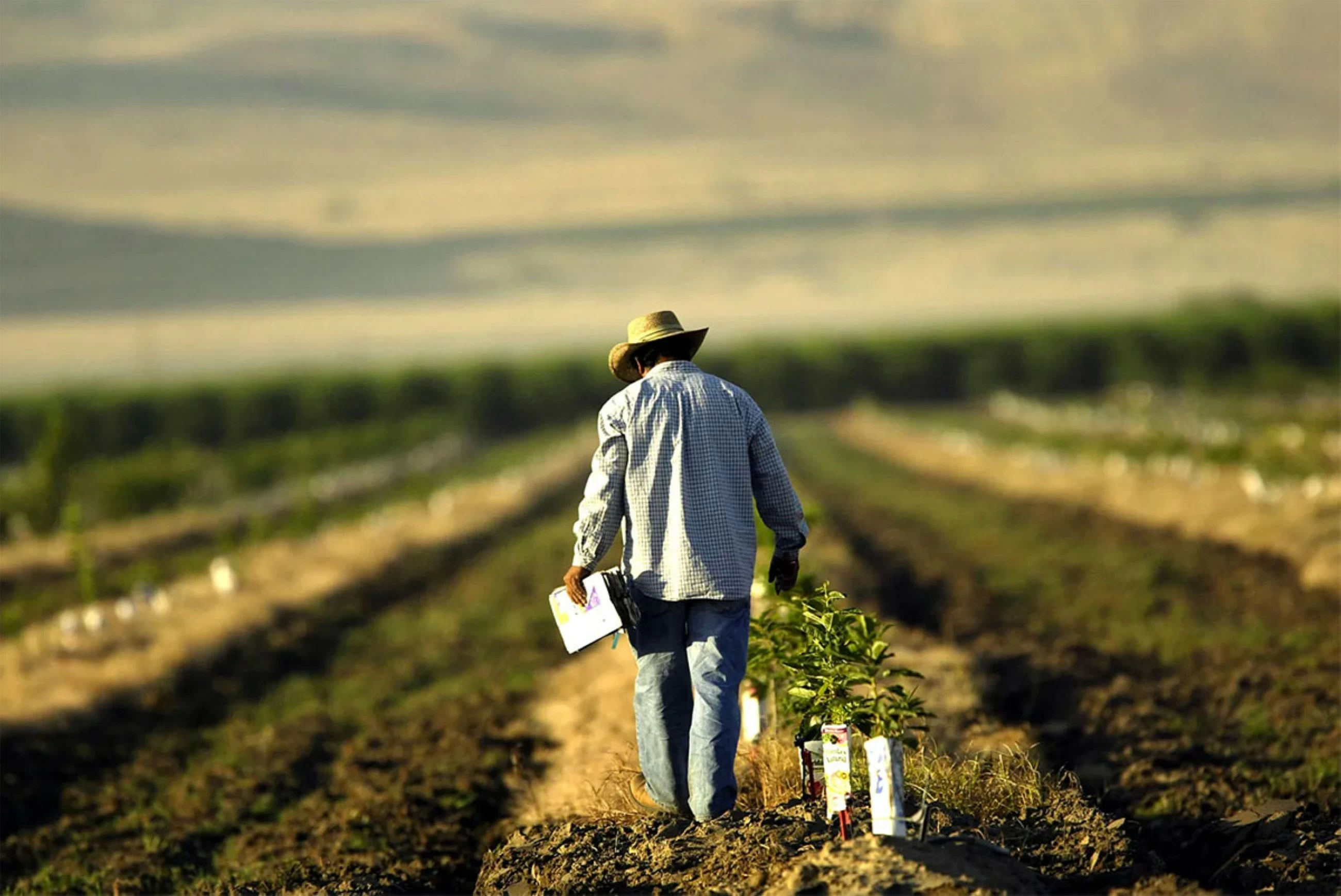 Farm crisis demands certainty from congress now