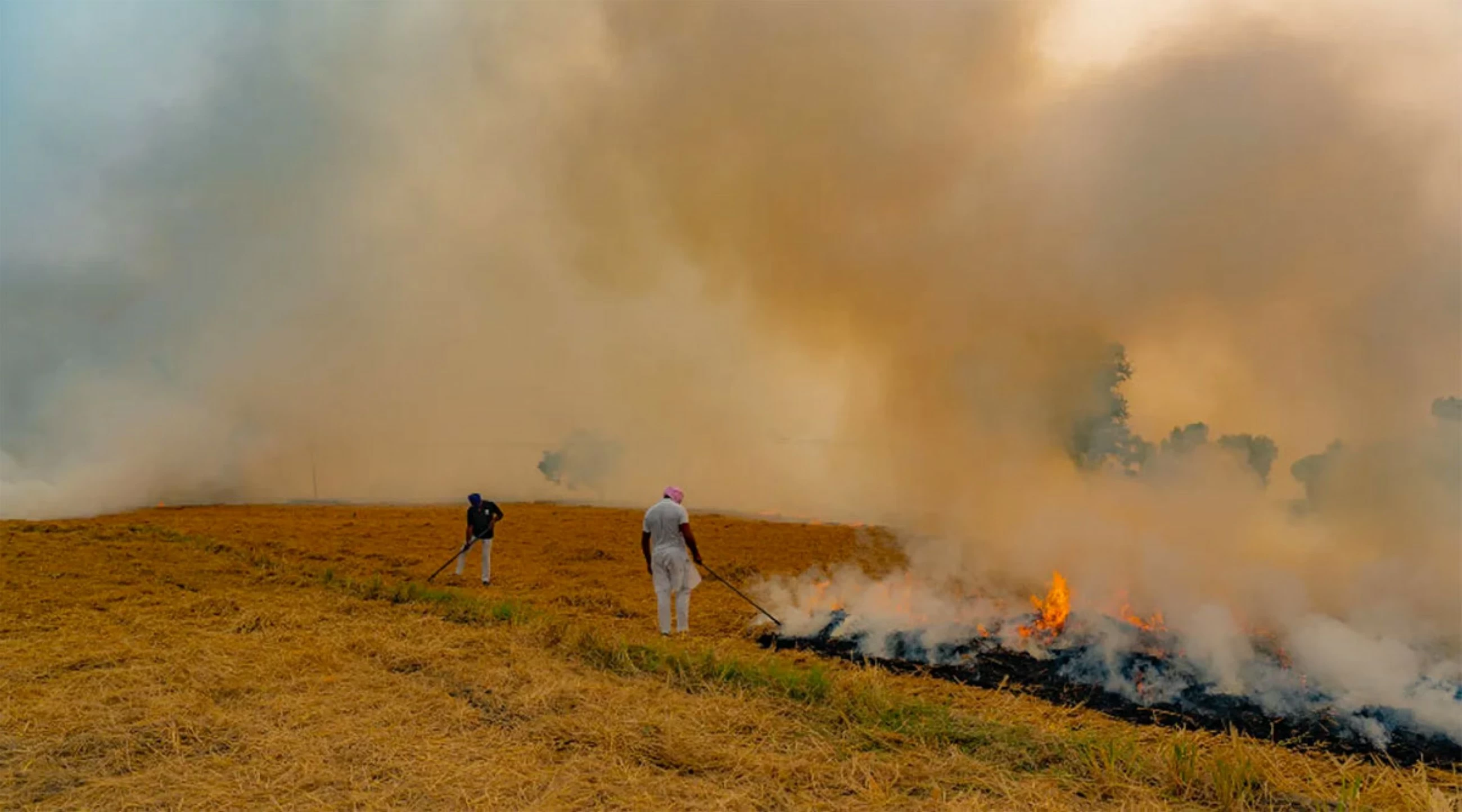 Green documentary fund launched