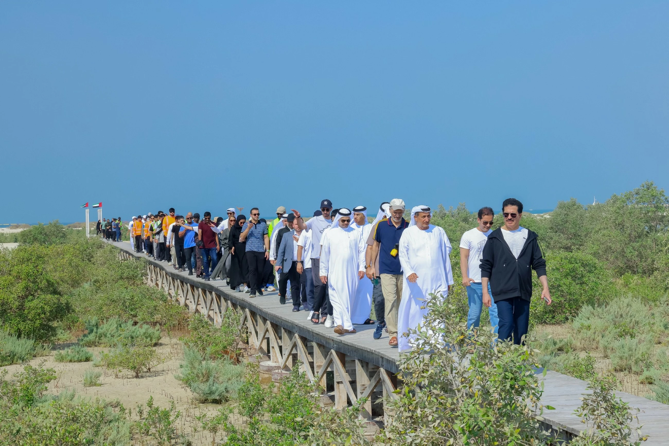 Over 250 volunteers join hands with DEWA to plant mangrove trees in Dubai
