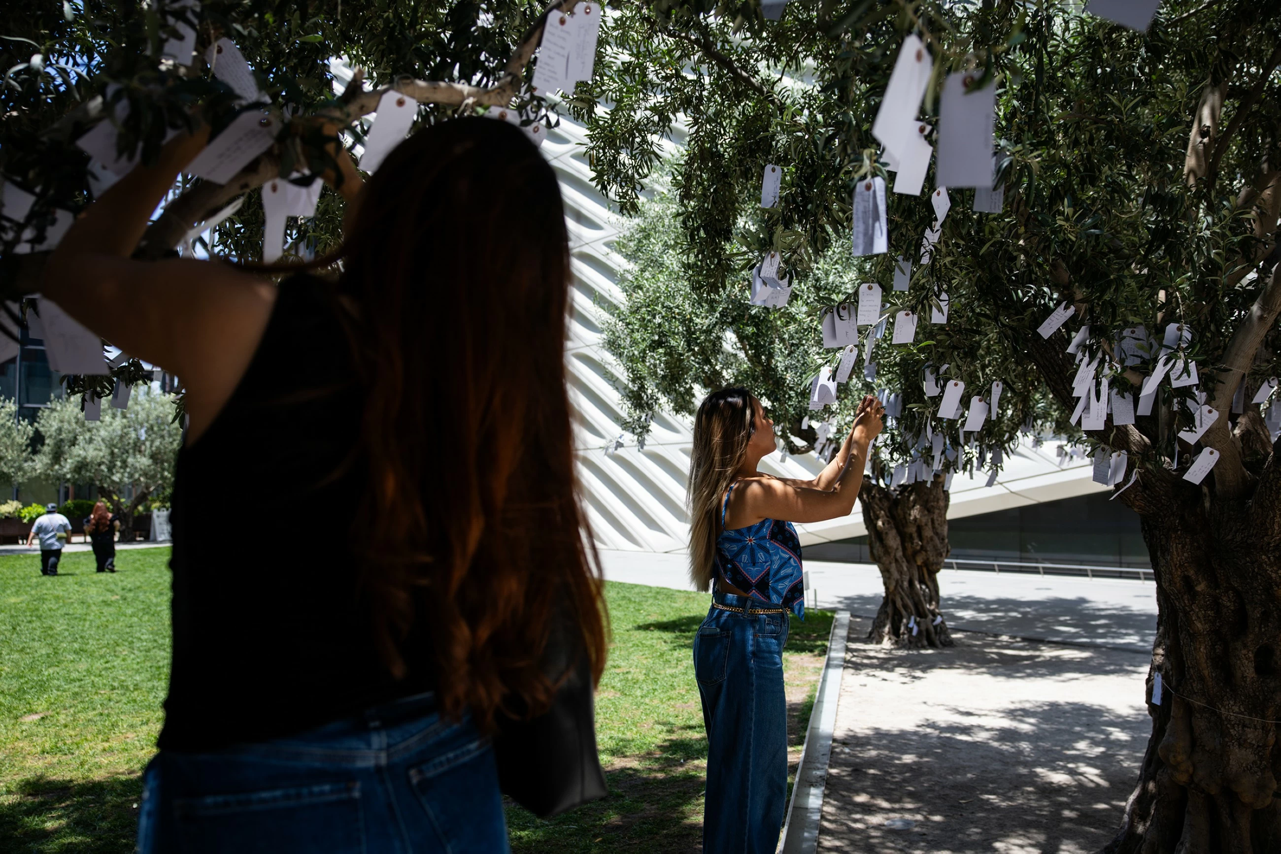 Visitors leave 500 wishes daily on Yoko Ono&rsquo;s iconic Wish Trees installation